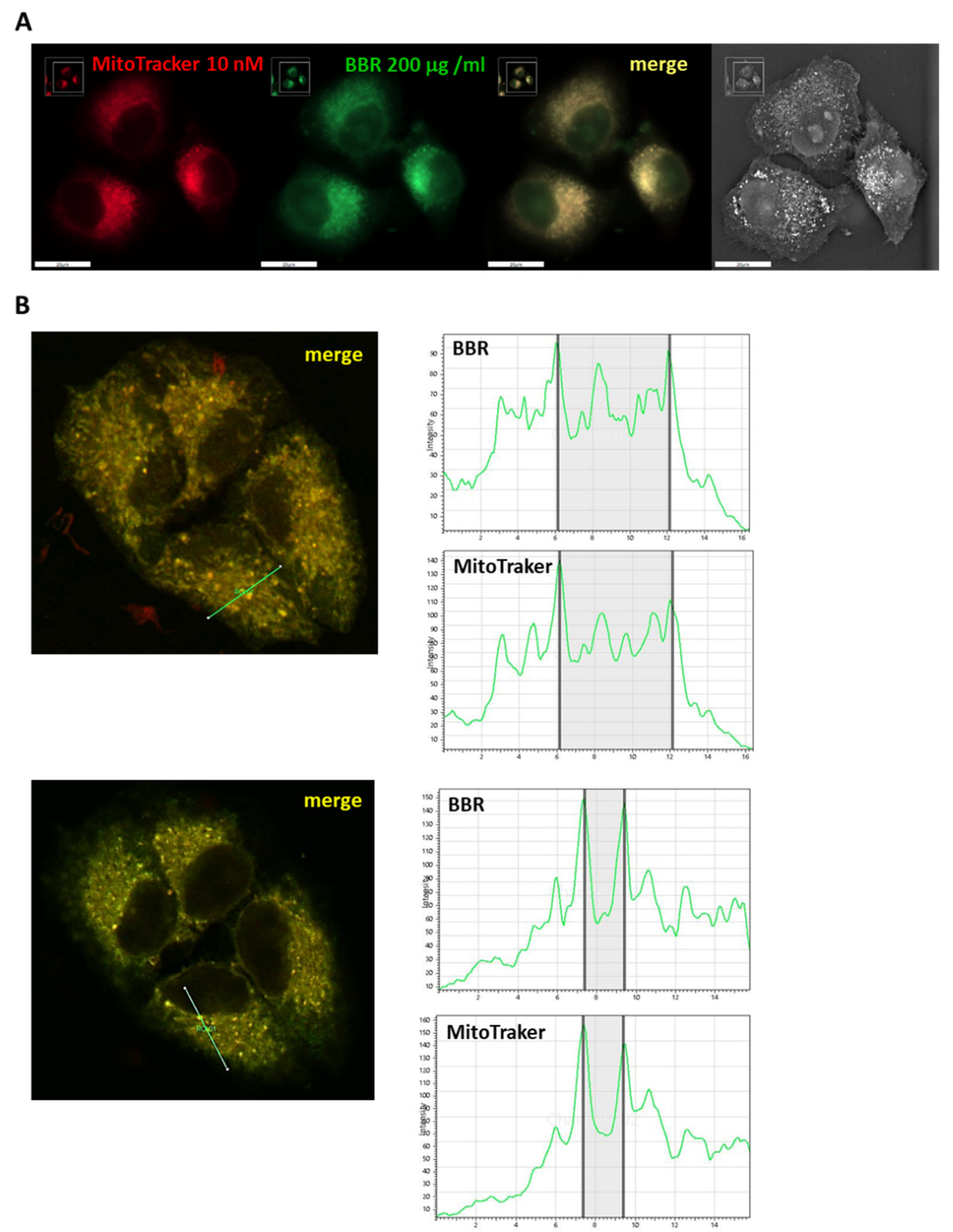 Jpm 11 00942 g003 Jpm 11 00942 g003