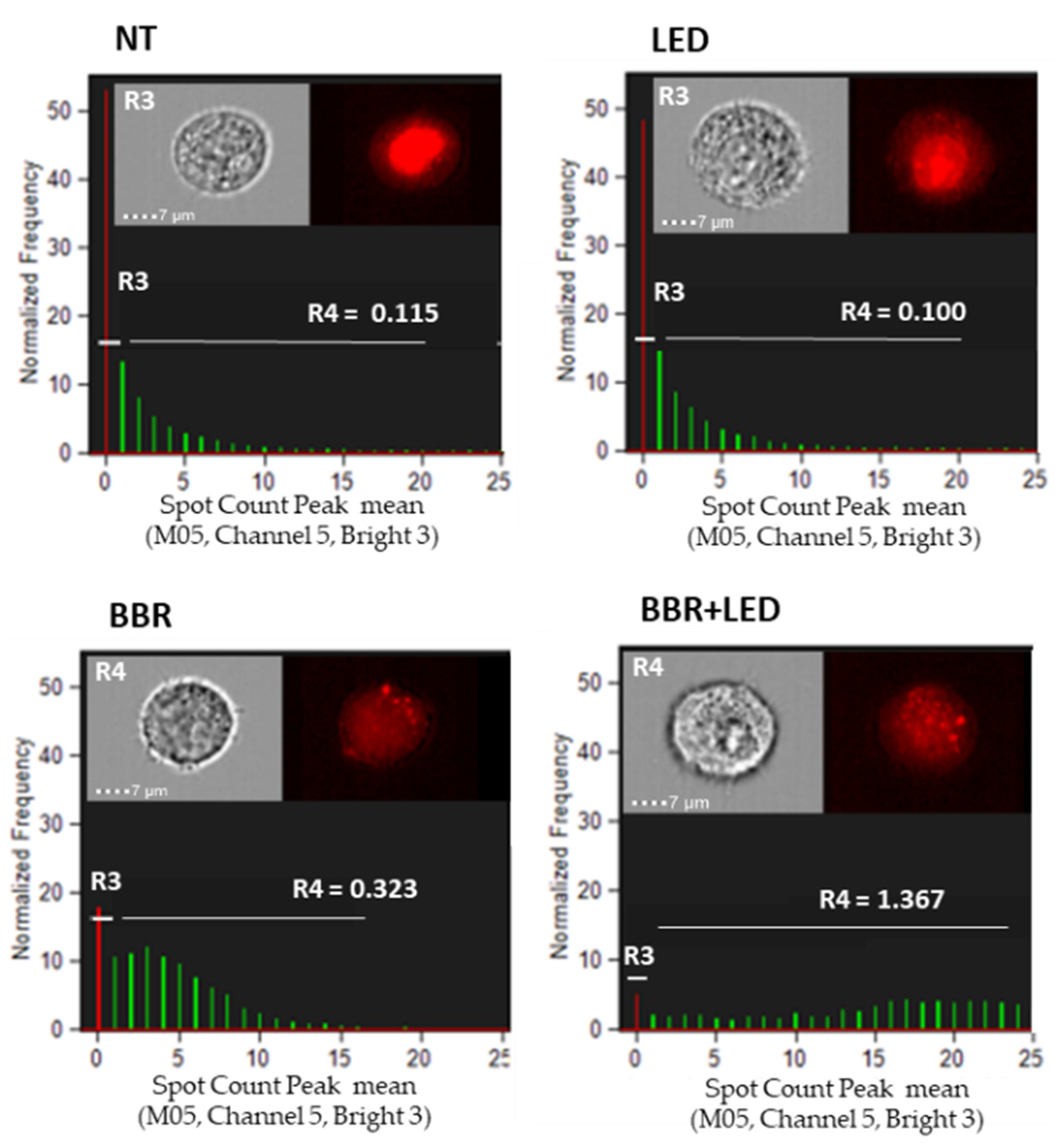 Jpm 11 00942 g006 Jpm 11 00942 g006