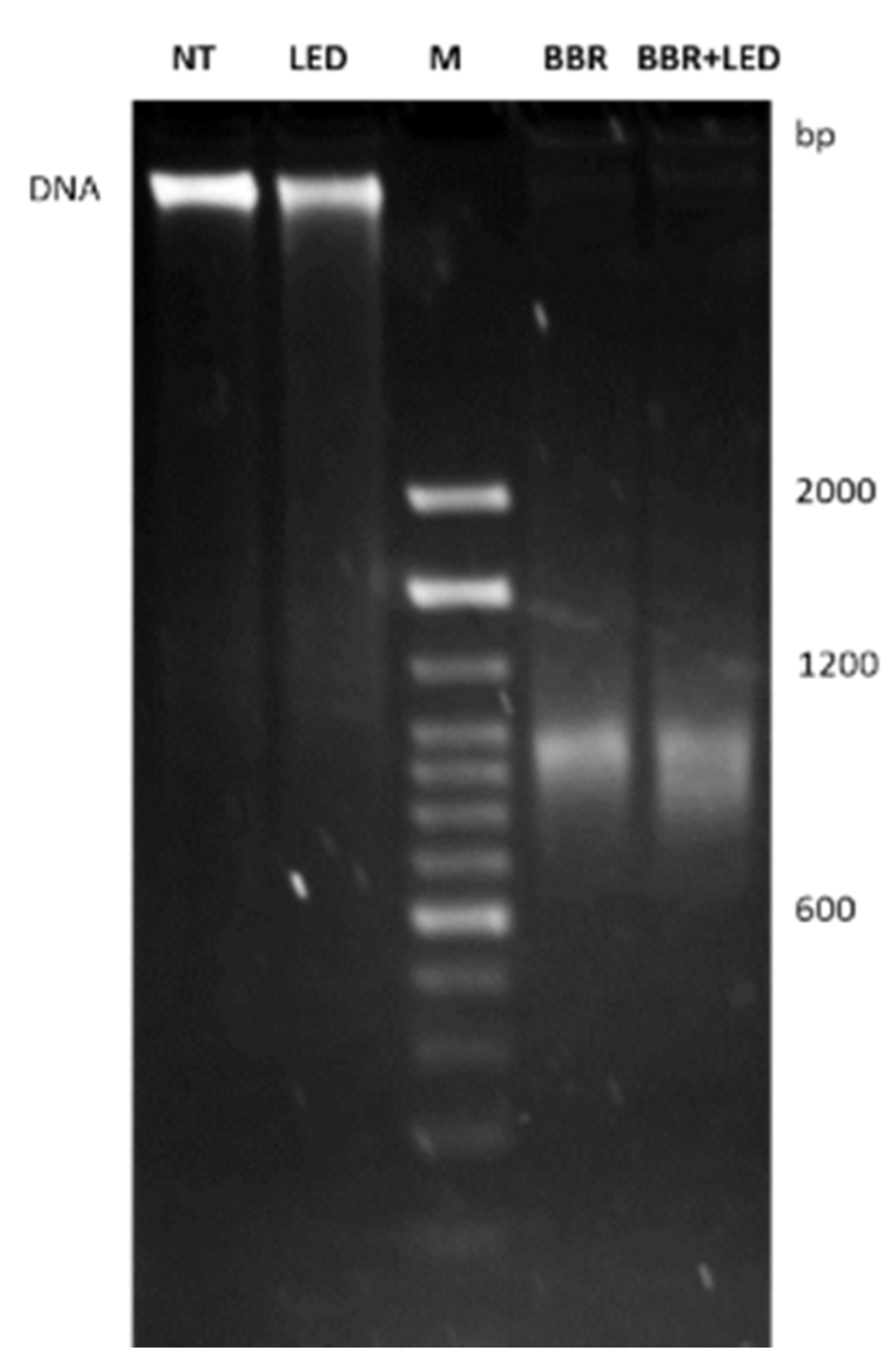 Jpm 11 00942 g007 Jpm 11 00942 g007