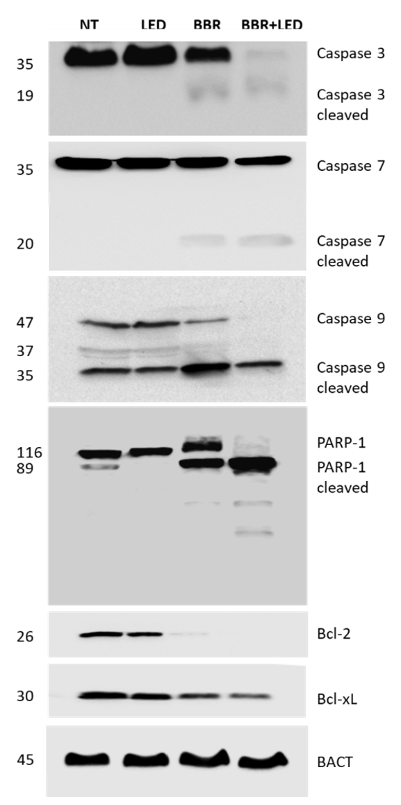 Jpm 11 00942 g008 Jpm 11 00942 g008