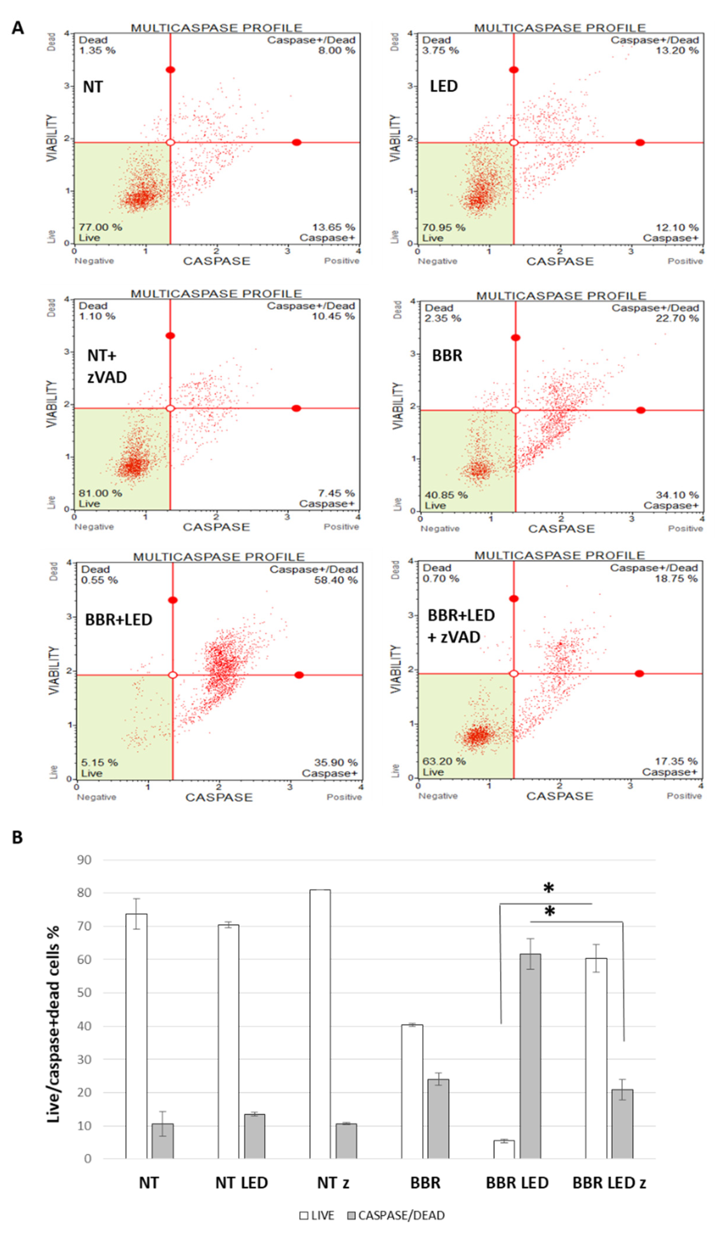 Jpm 11 00942 g009 Jpm 11 00942 g009