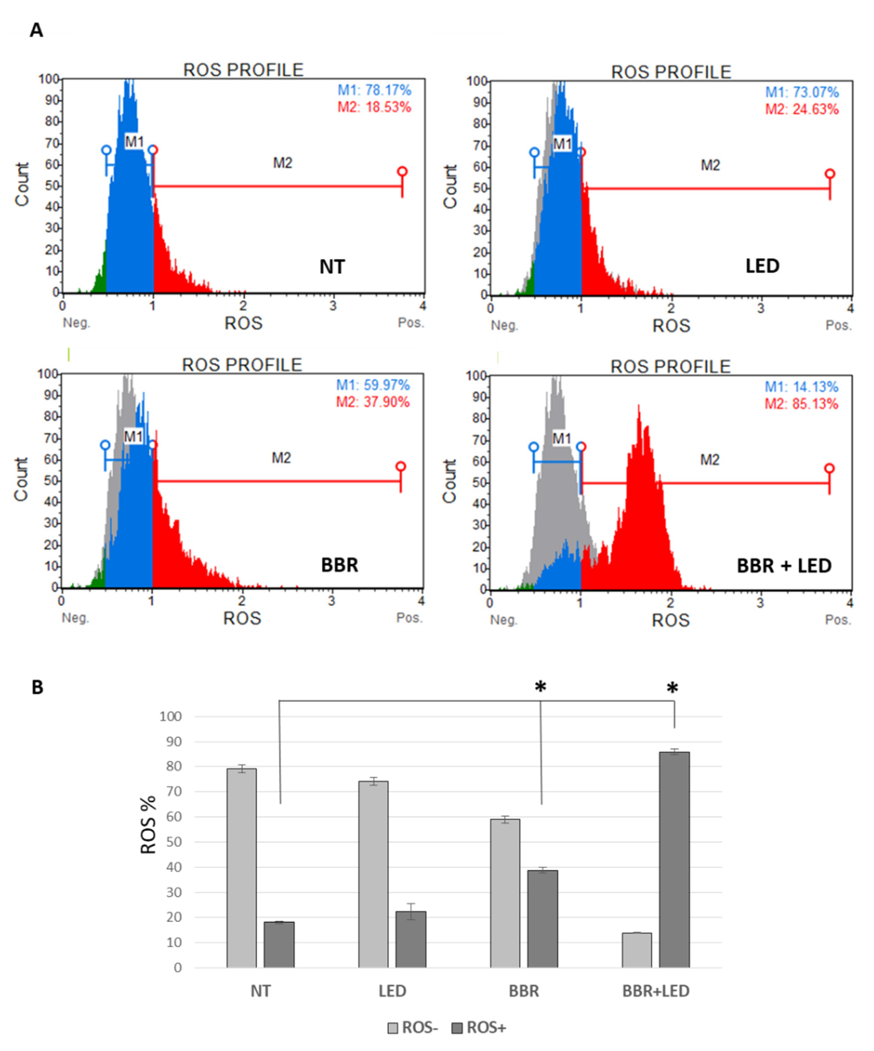 Jpm 11 00942 g010 Jpm 11 00942 g010