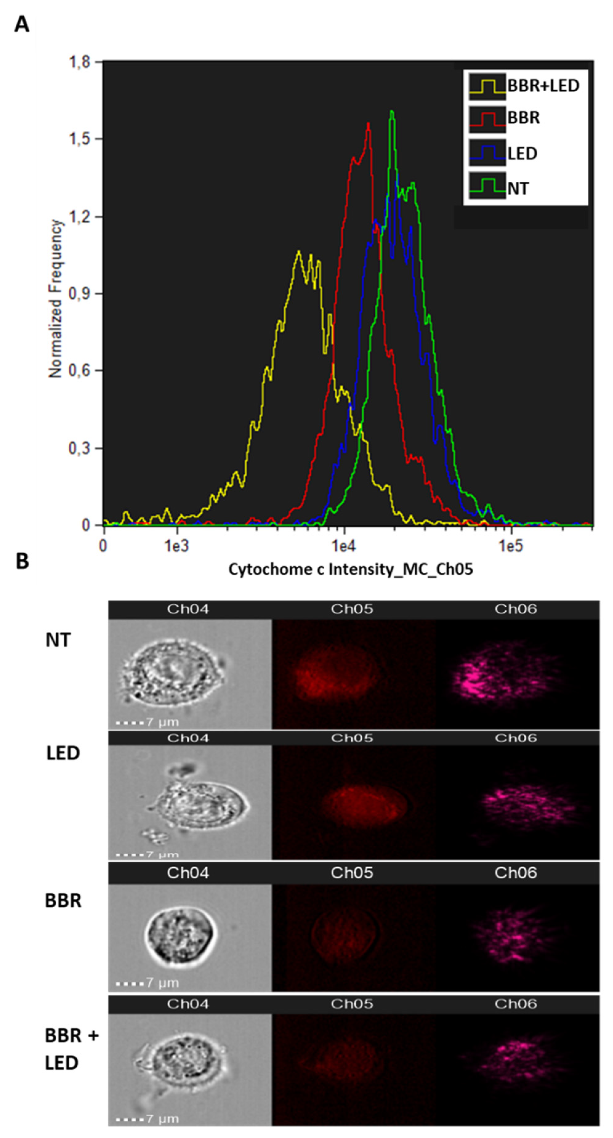 Jpm 11 00942 g012 Jpm 11 00942 g012