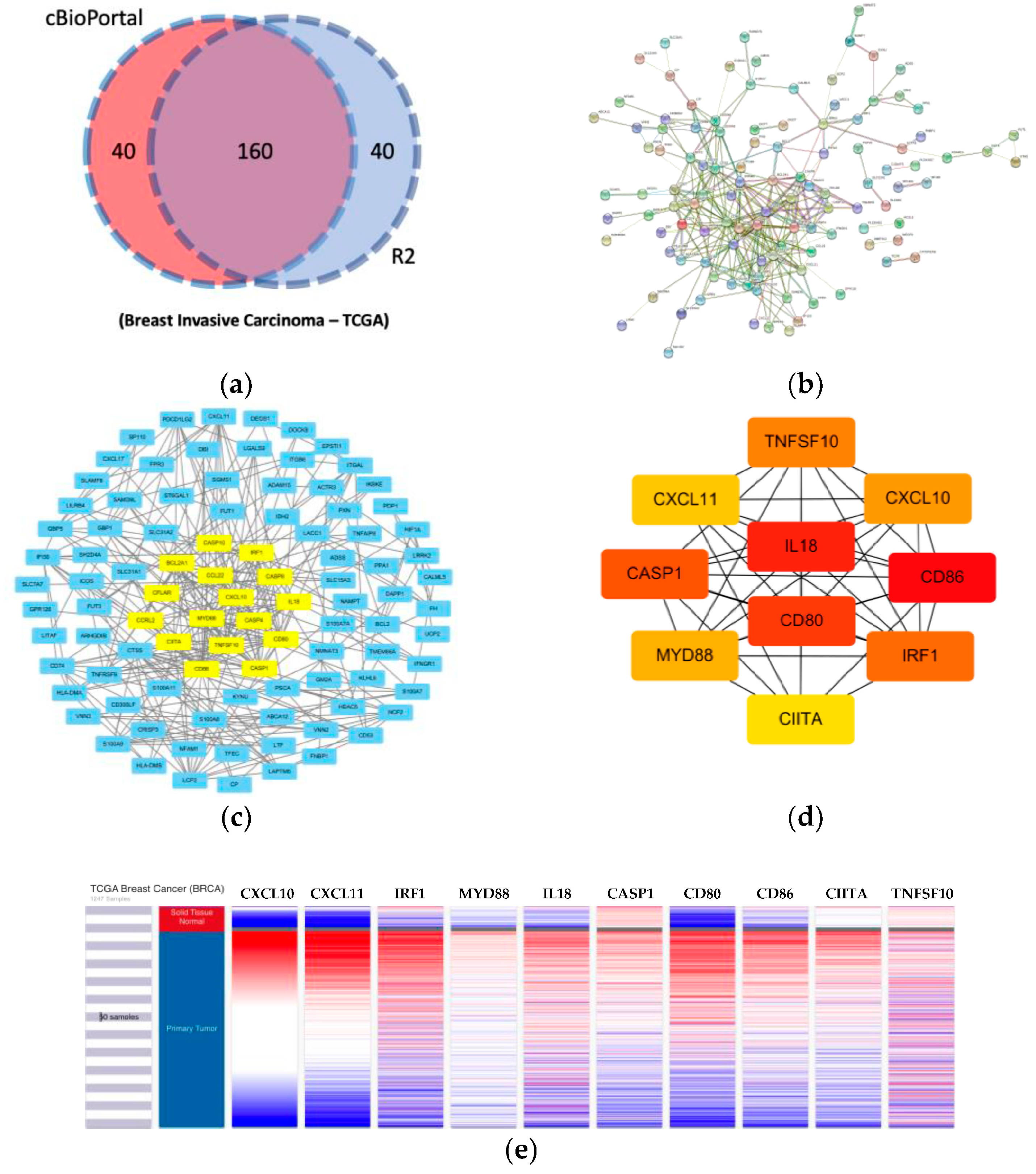 Jpm 11 00948 g005 550