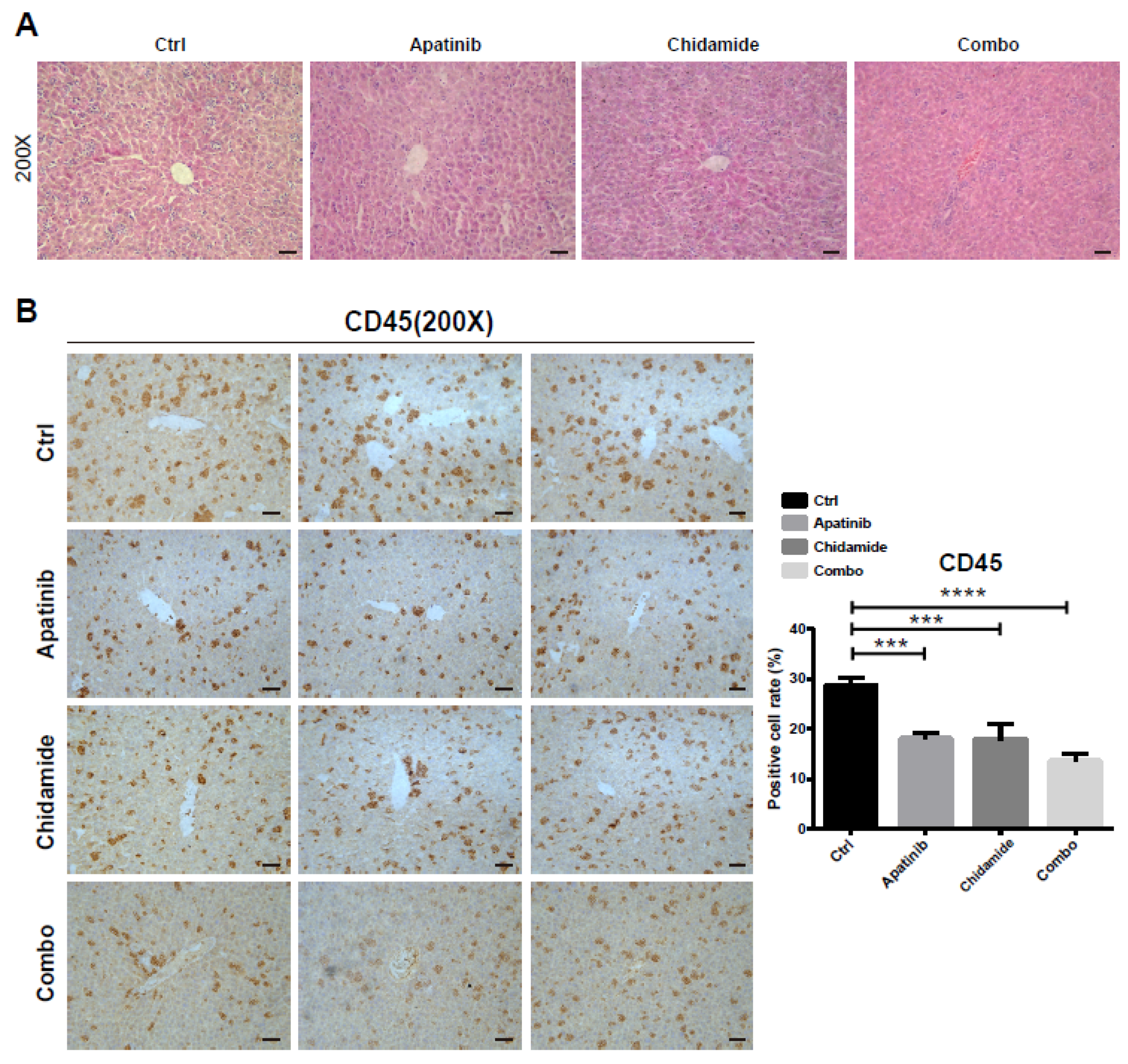 Jpm 11 00977 g007 Jpm 11 00977 g007
