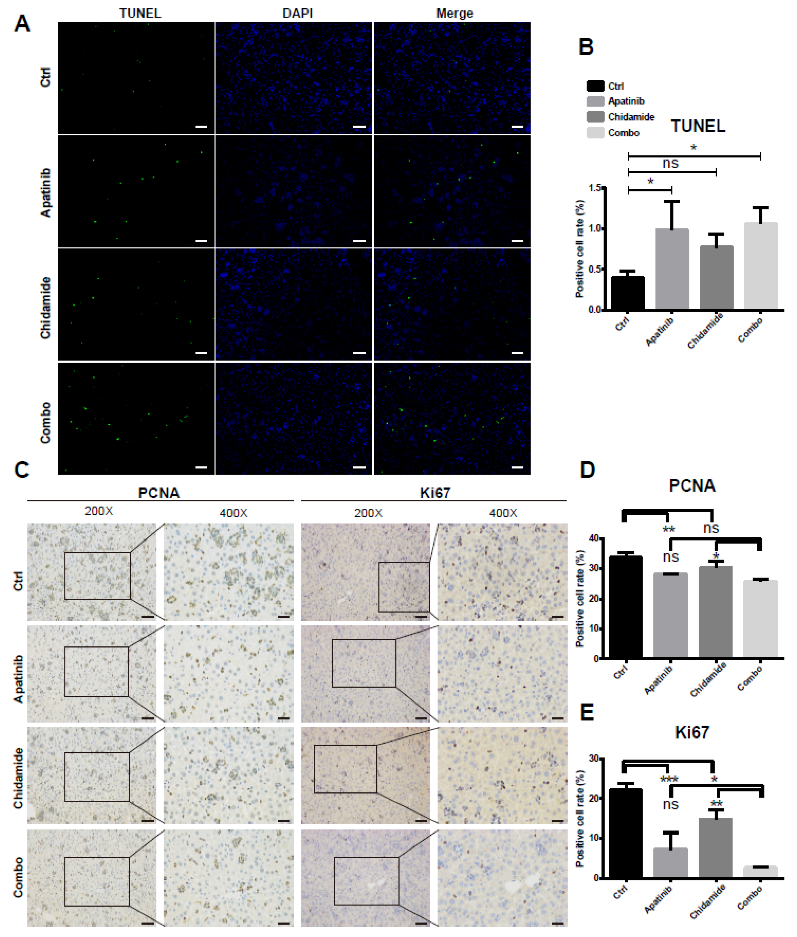 Jpm 11 00977 g008 Jpm 11 00977 g008