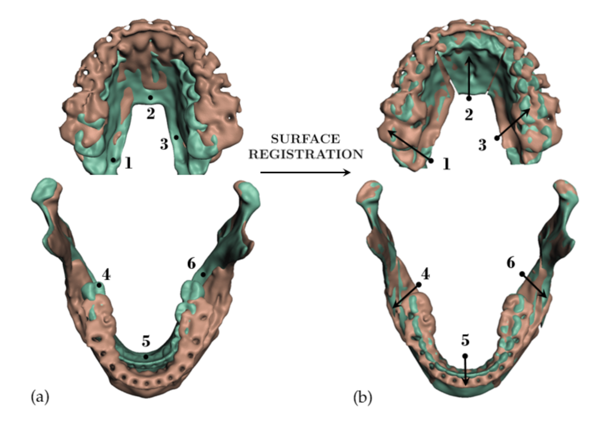 Jpm 11 00982 g010 Jpm 11 00982 g010