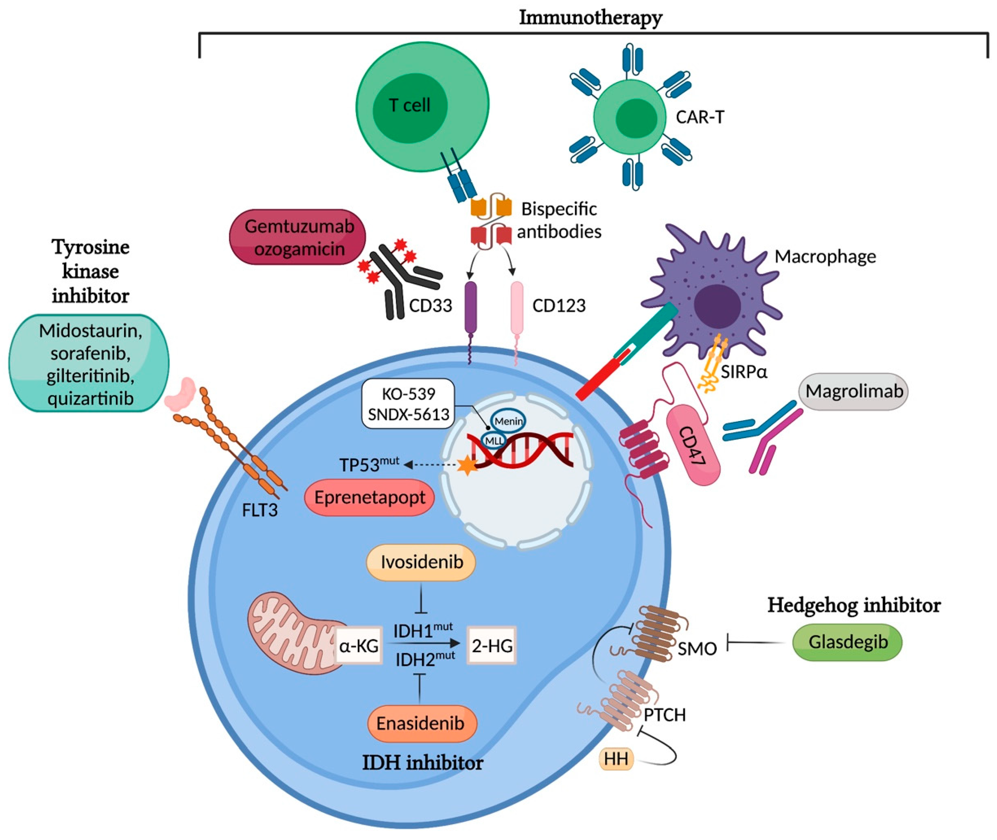 Jpm 11 01003 g001 550