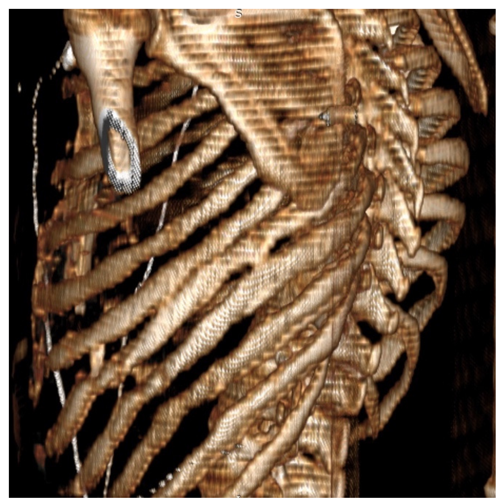 Jpm 11 01007 g004 550