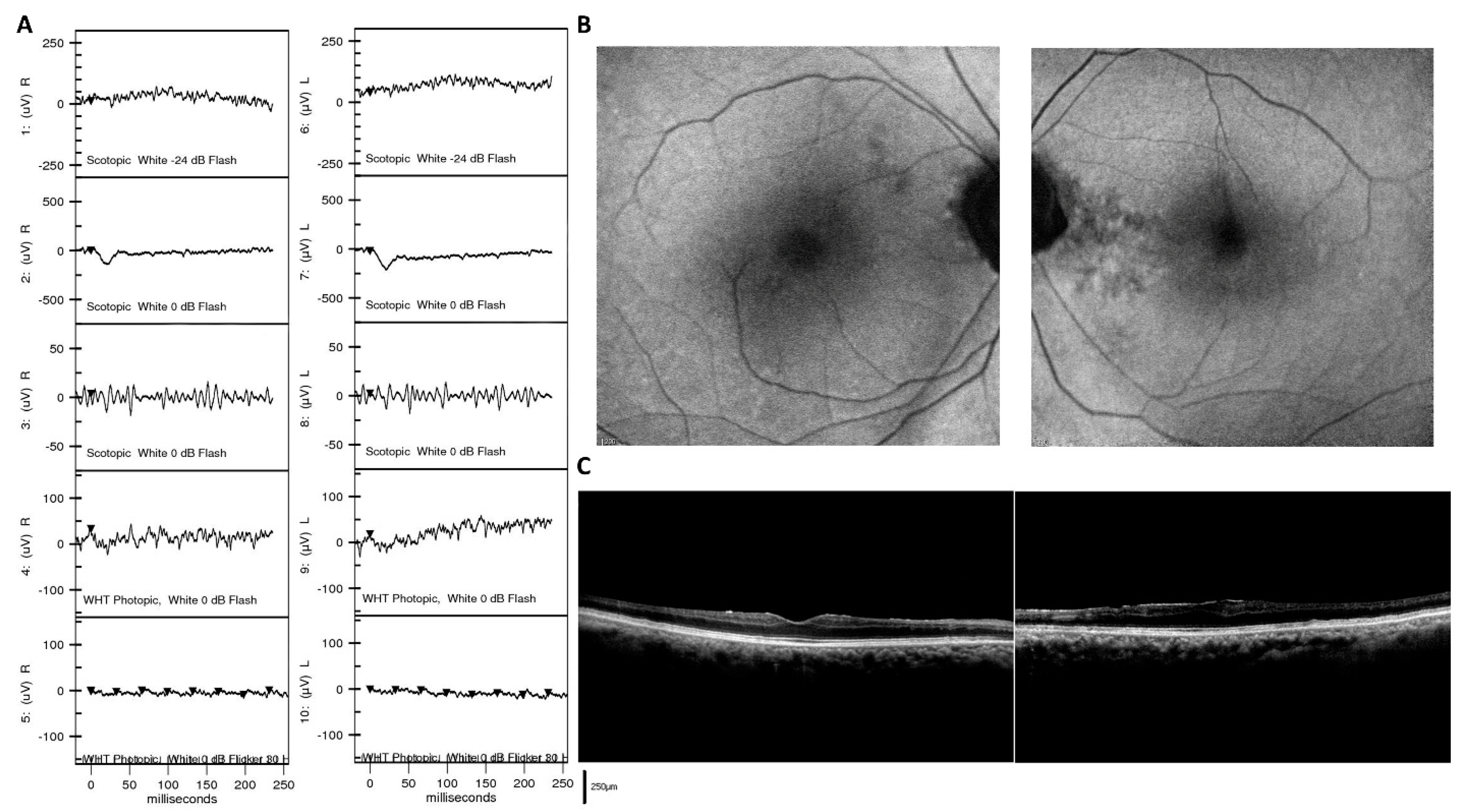 Jpm 11 01022 g005 Jpm 11 01022 g005