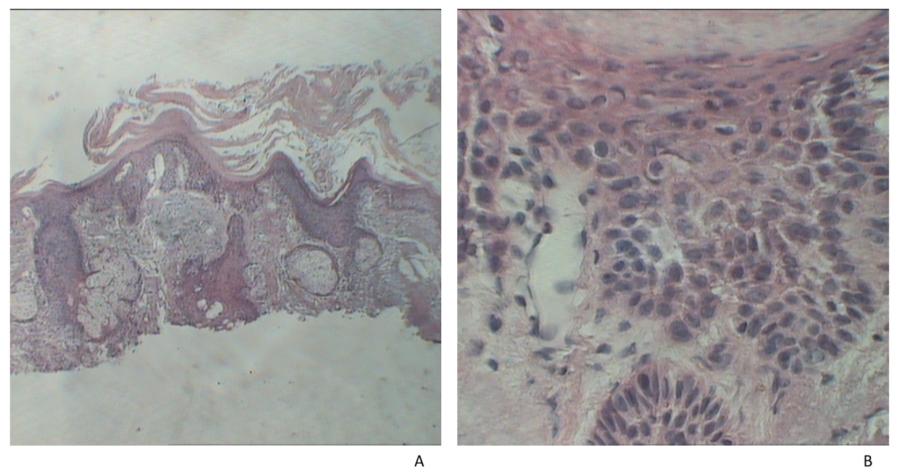 Jpm 11 01027 g002 Jpm 11 01027 g002