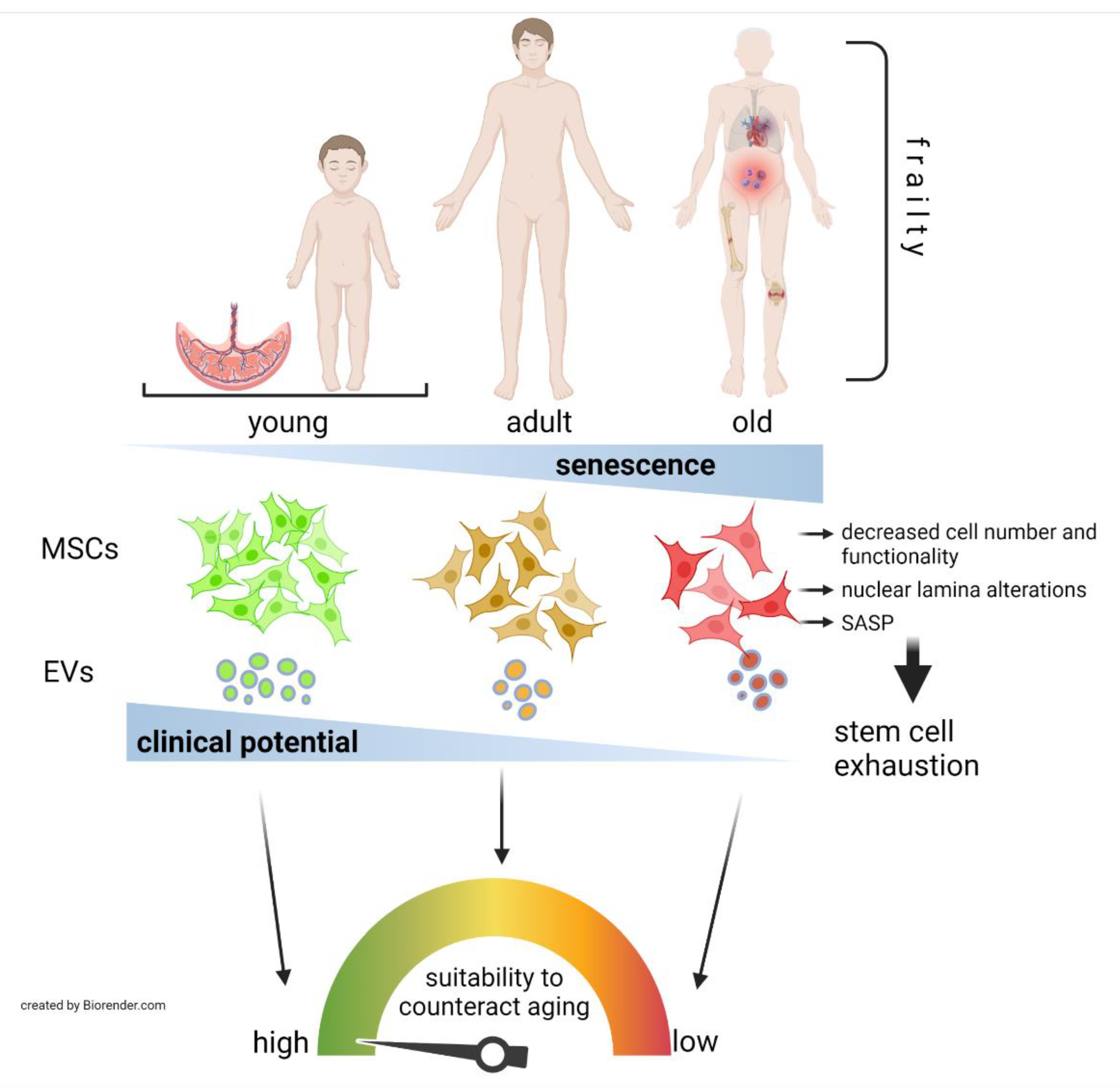 Jpm 11 01043 g001 Jpm 11 01043 g001