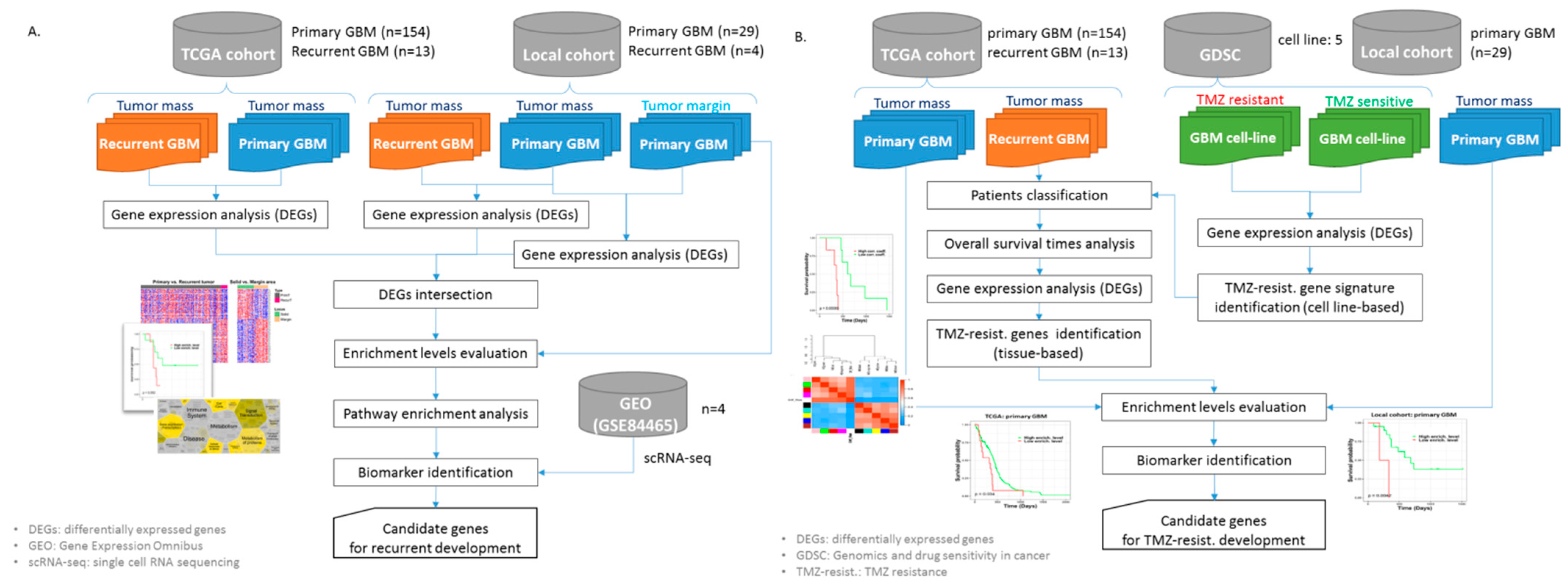 Jpm 11 01047 g001 550