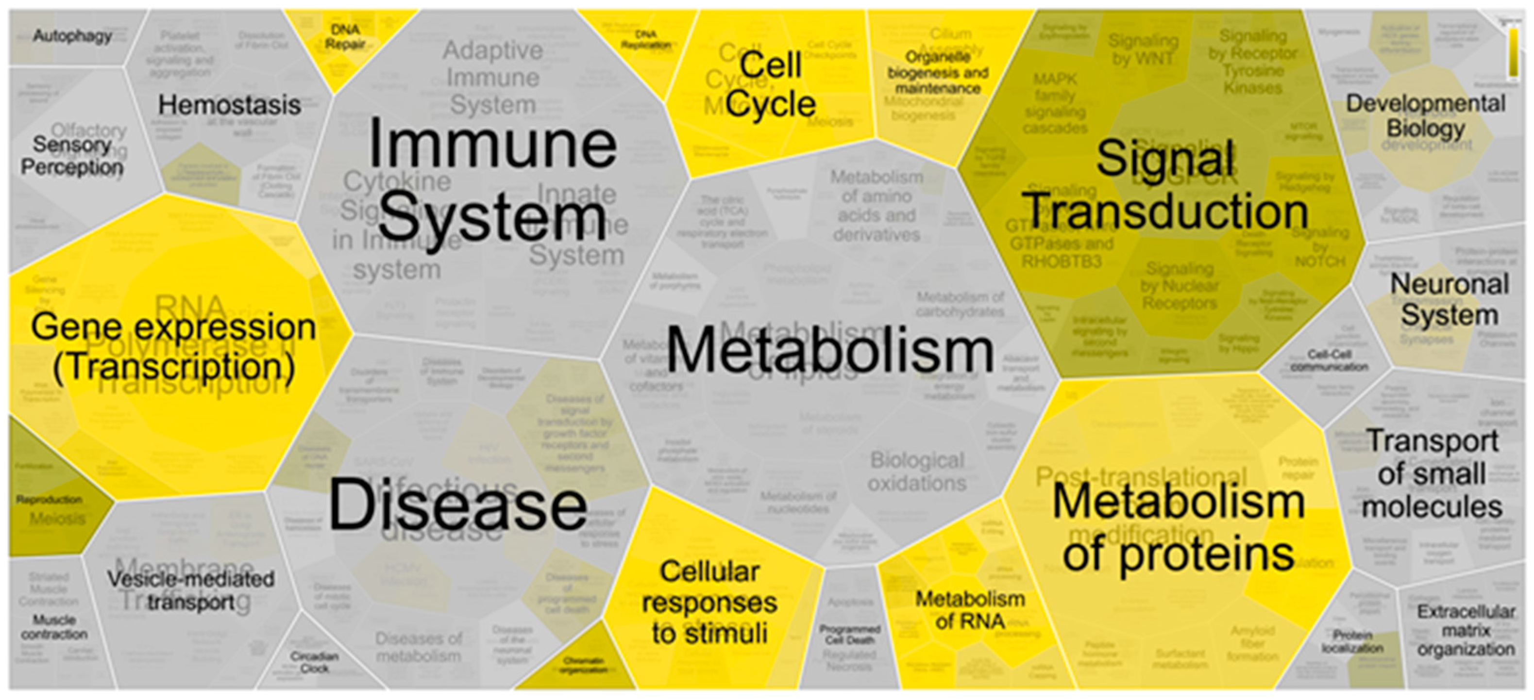 Jpm 11 01047 g004 550