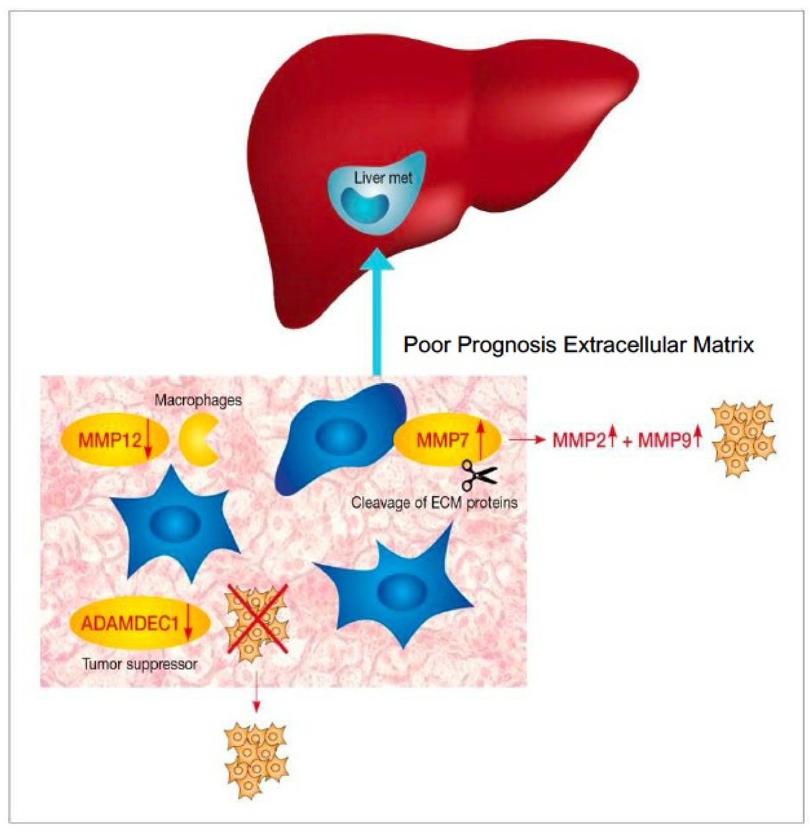 Jpm 11 01059 g001 Jpm 11 01059 g001