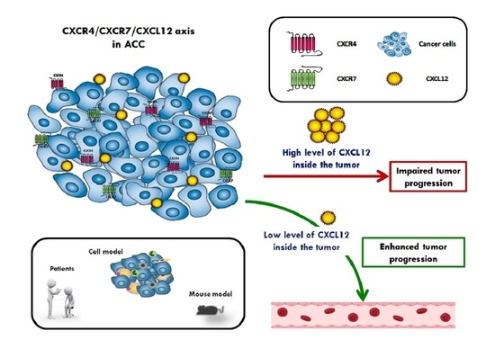 JPM | Free Full-Text | Stimulated Expression of CXCL12 in ...