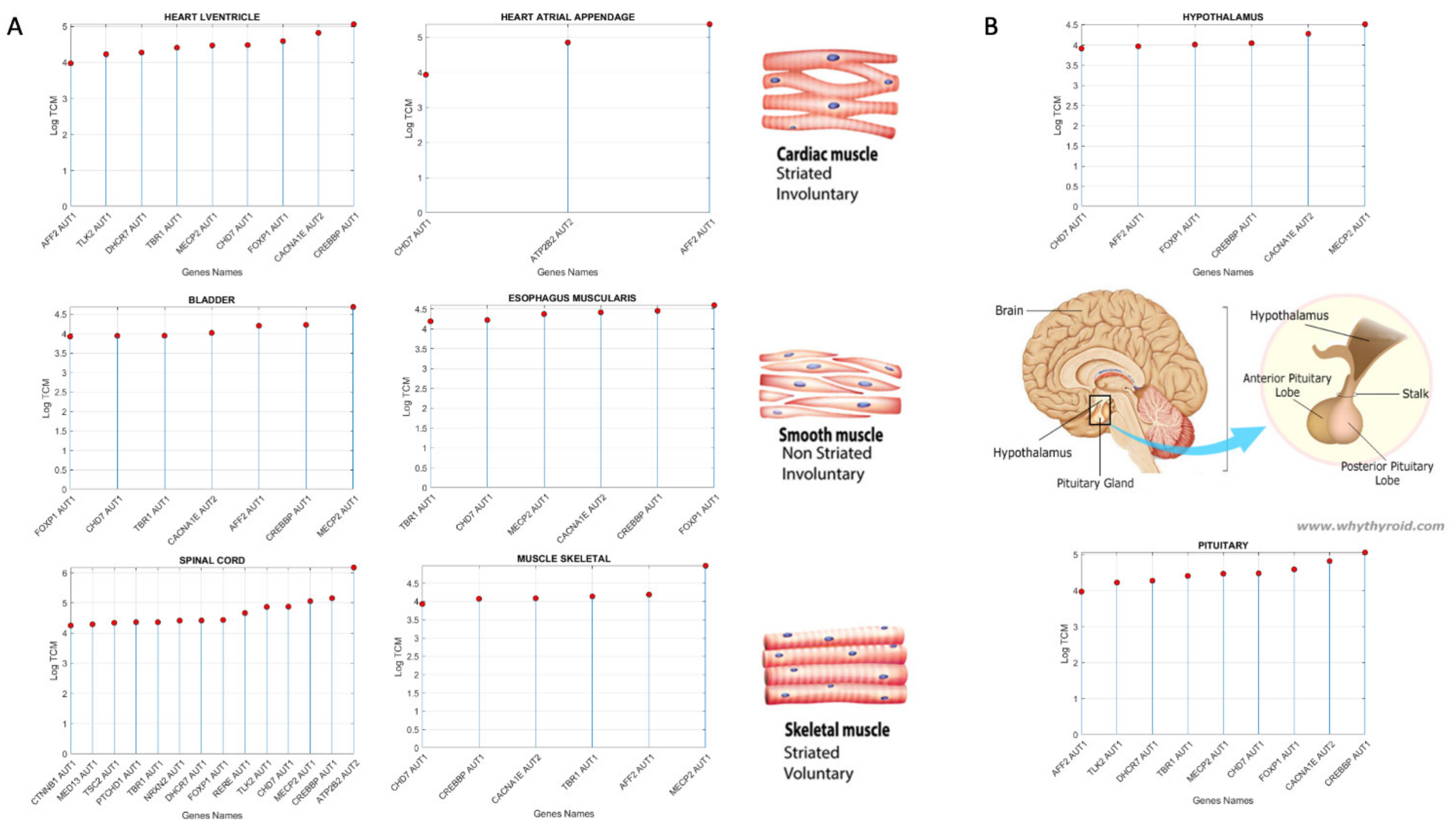 Jpm 11 01119 g007 Jpm 11 01119 g007