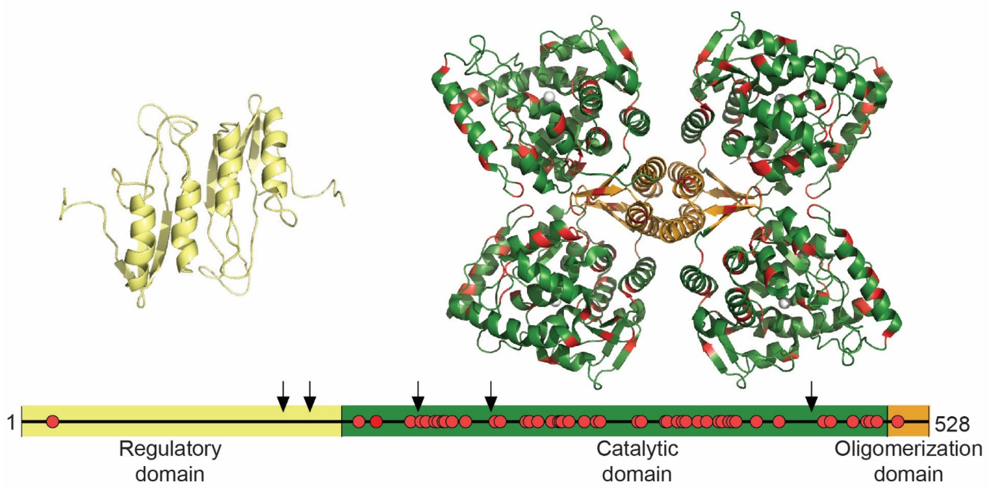 Jpm 11 01186 g002 Jpm 11 01186 g002
