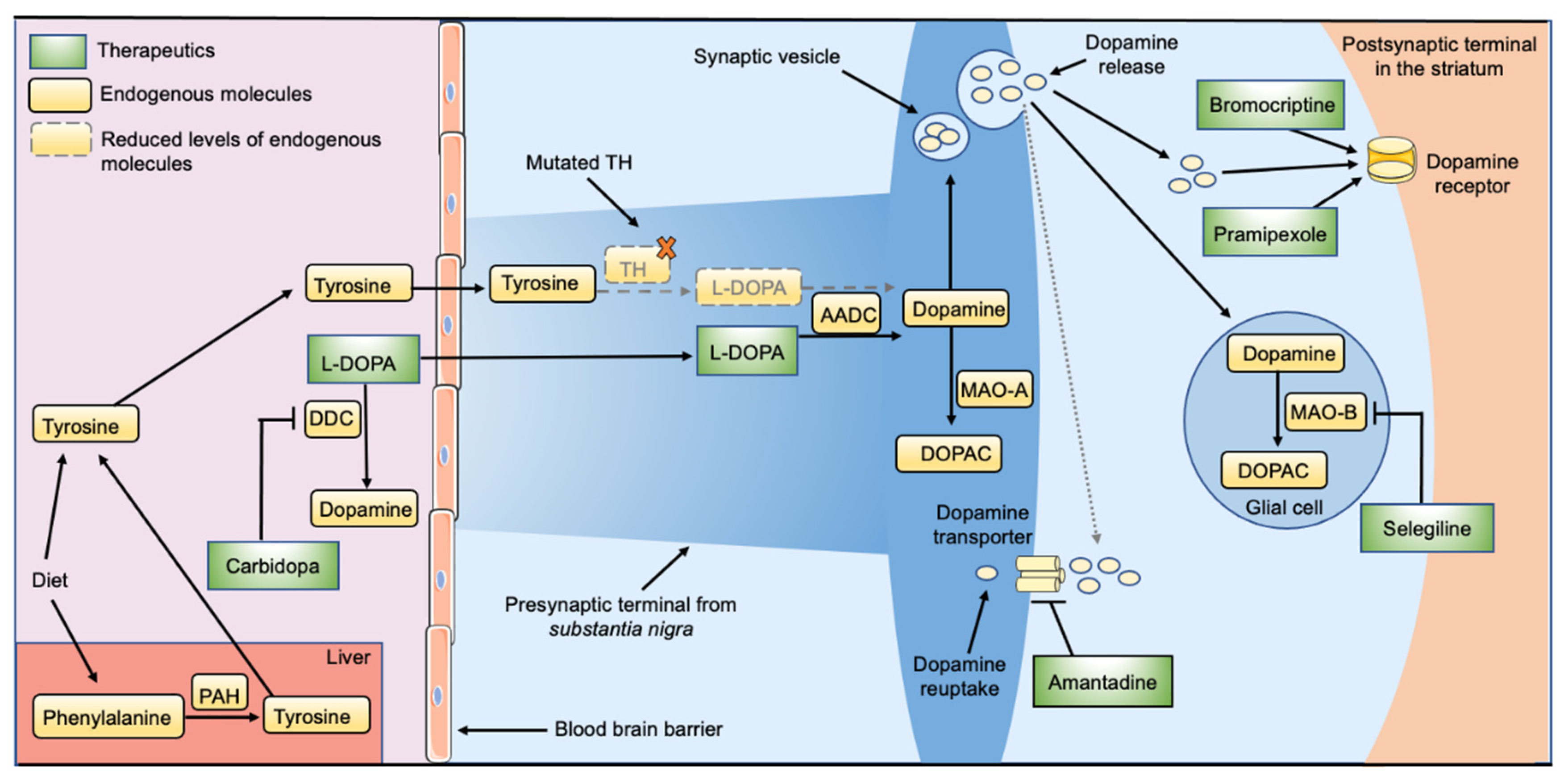 Jpm 11 01186 g003 Jpm 11 01186 g003