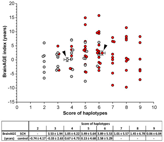 scientific workplace 6 black box pops up repeatedly scientific workplace 6 black box pops up repeatedly