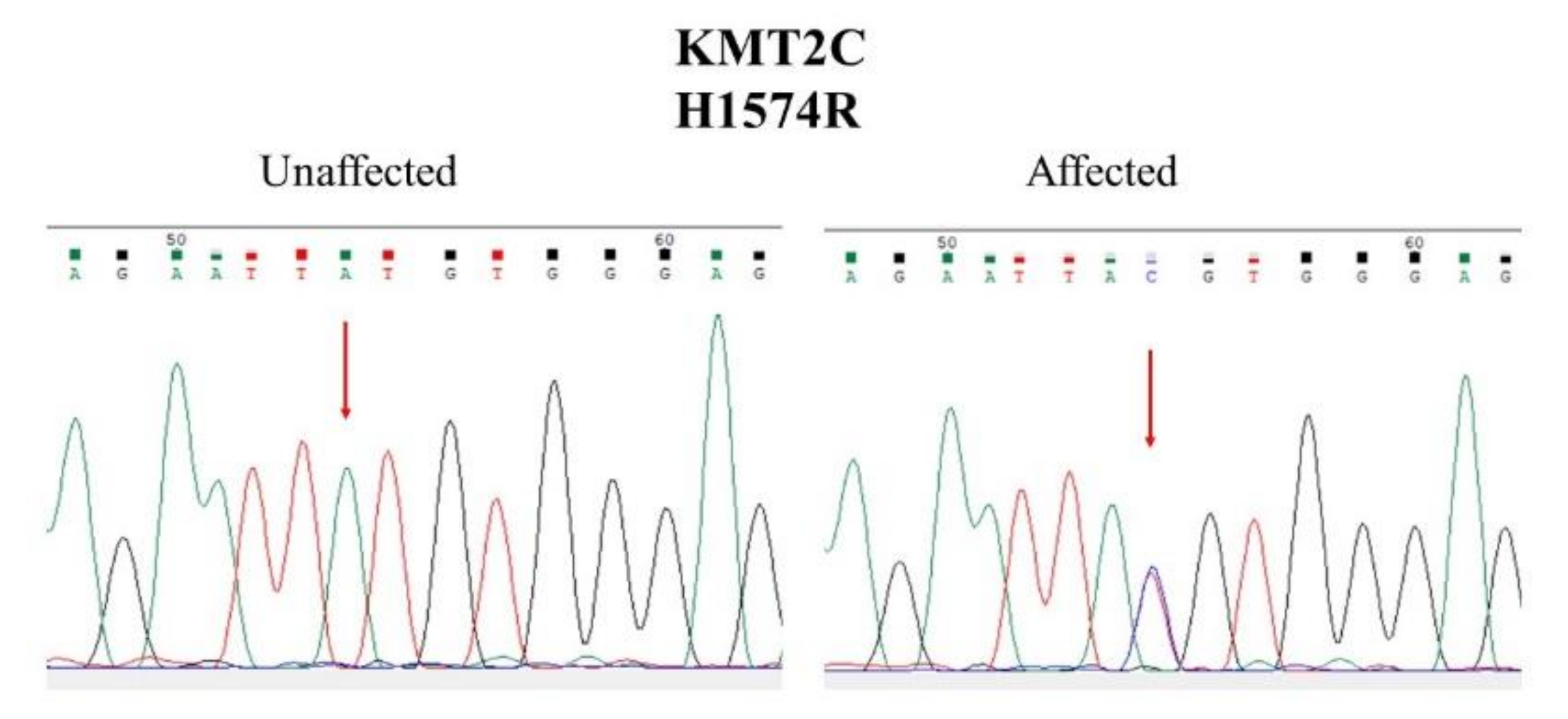 Jpm 11 01254 g003