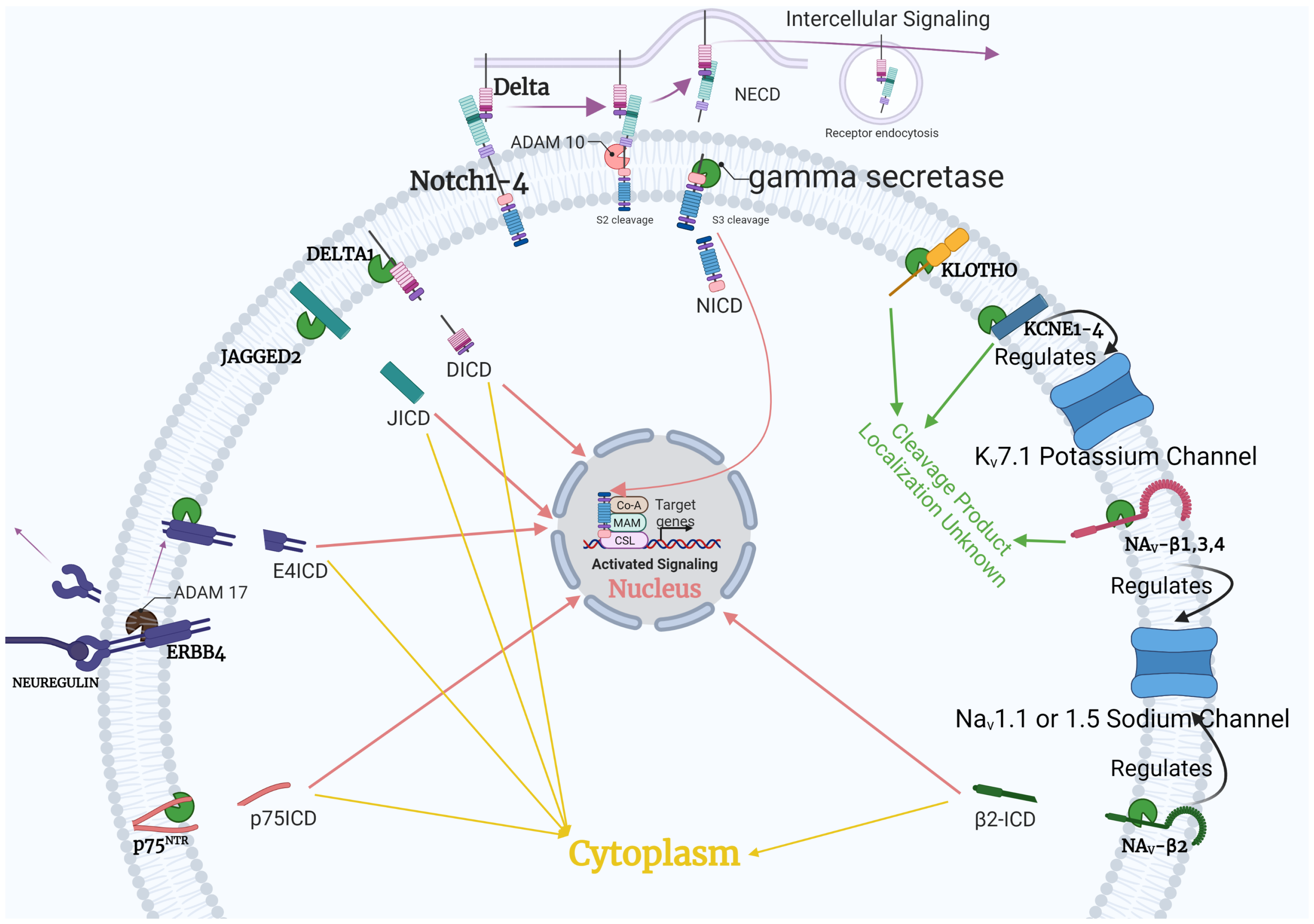 Jpm 11 01294 g002 Jpm 11 01294 g002