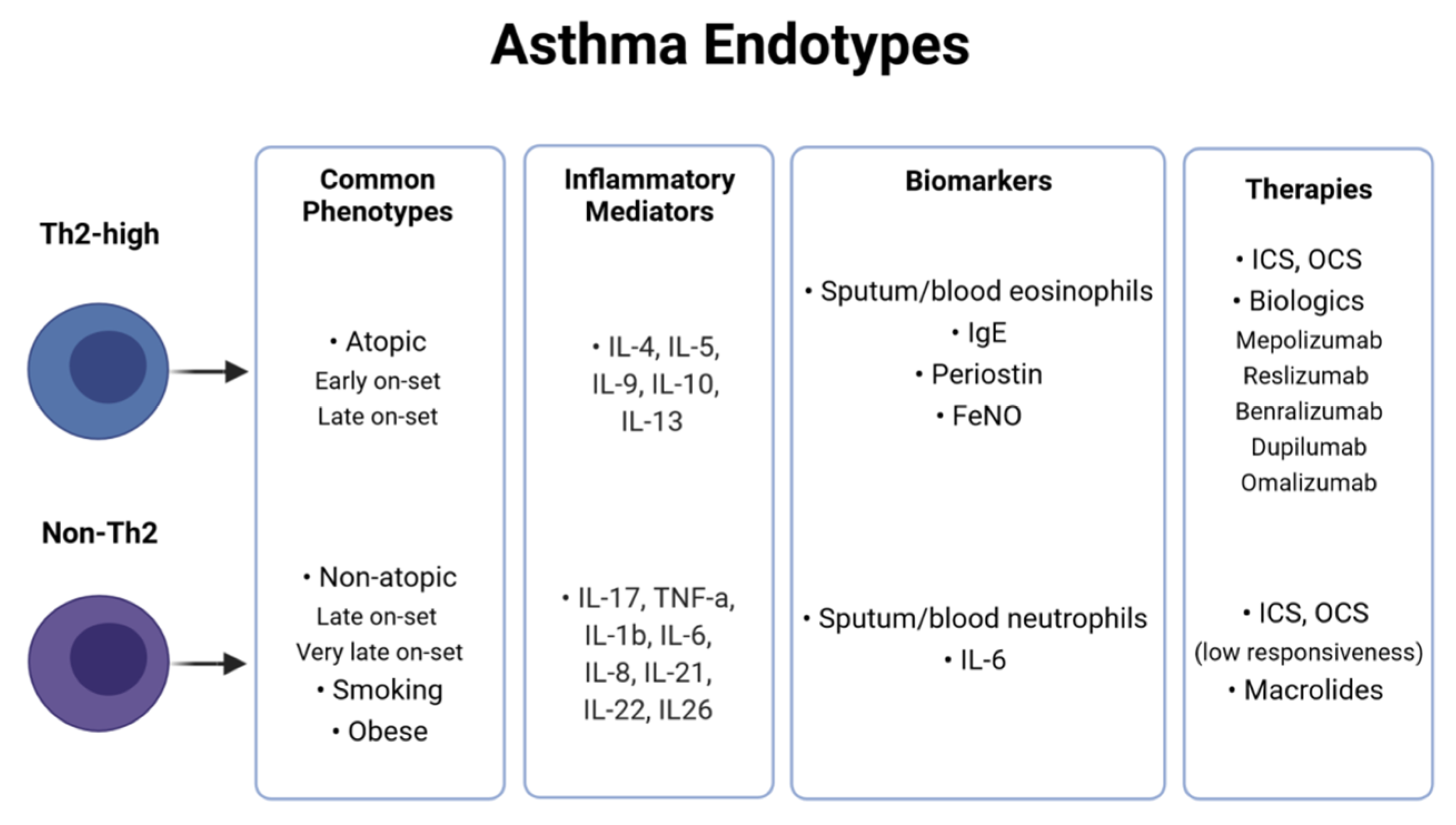 Jpm 11 01299 g001 Jpm 11 01299 g001