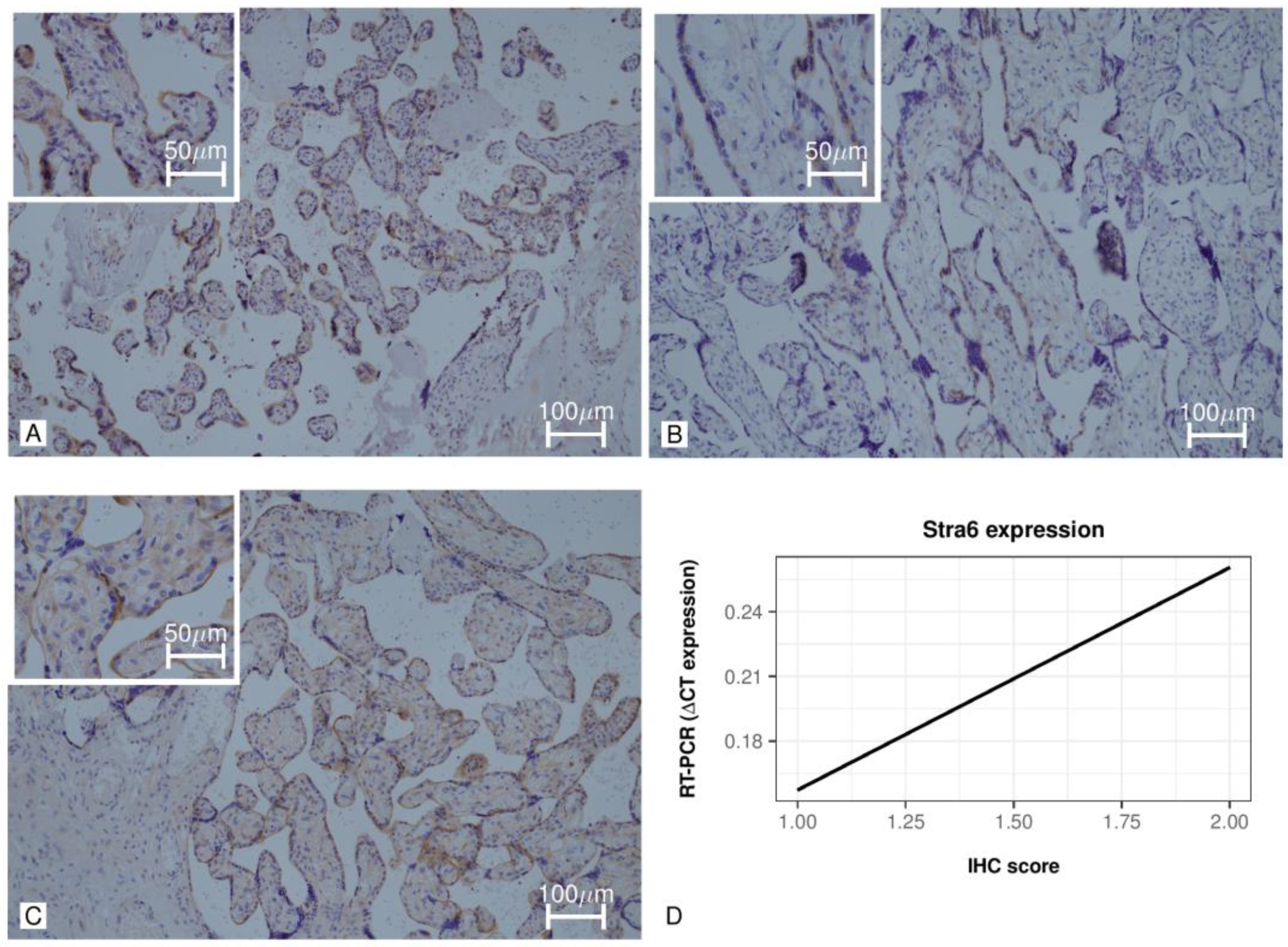 Jpm 11 01301 g002 550