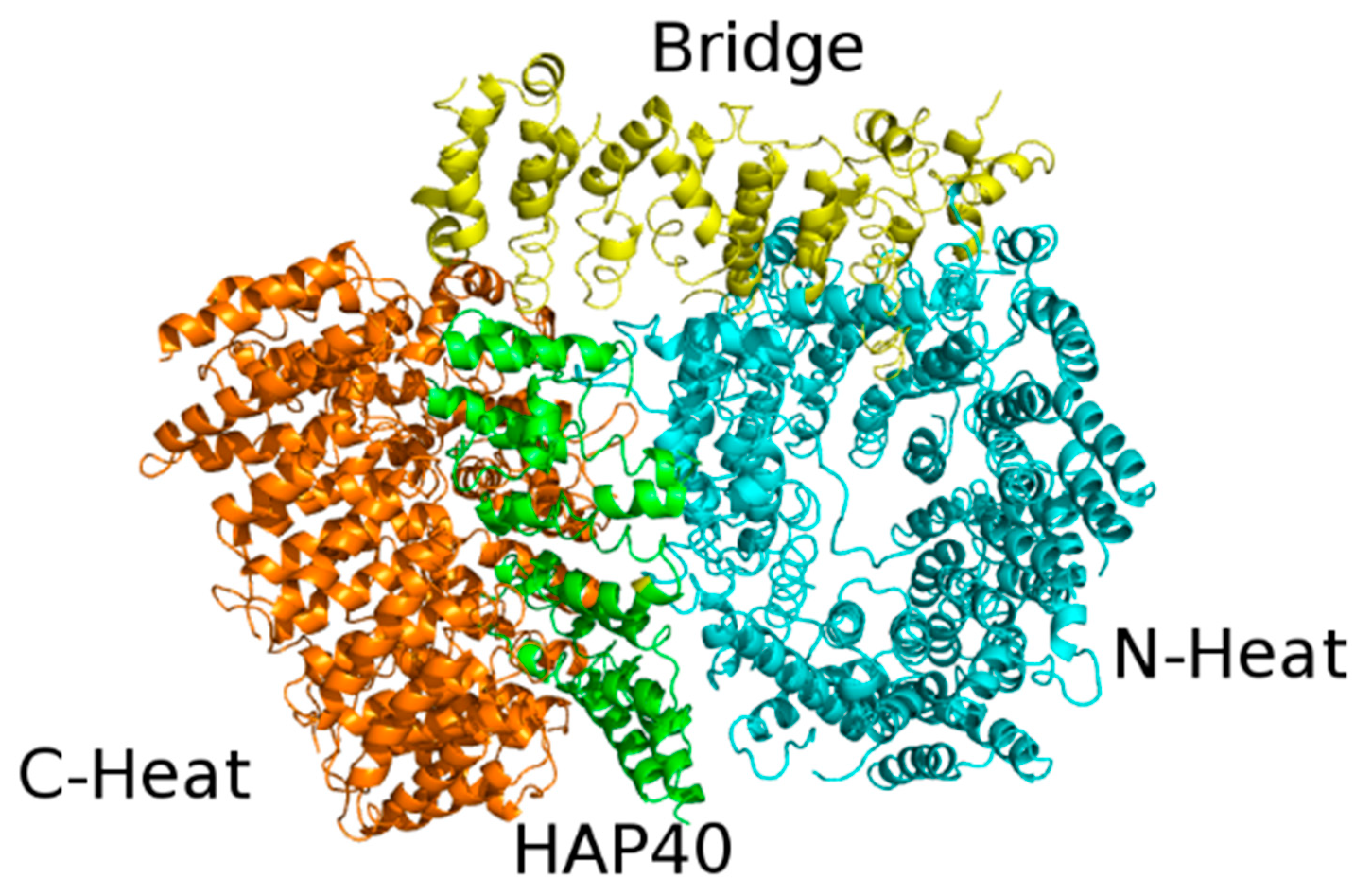 Jpm 11 01309 g004 Jpm 11 01309 g004