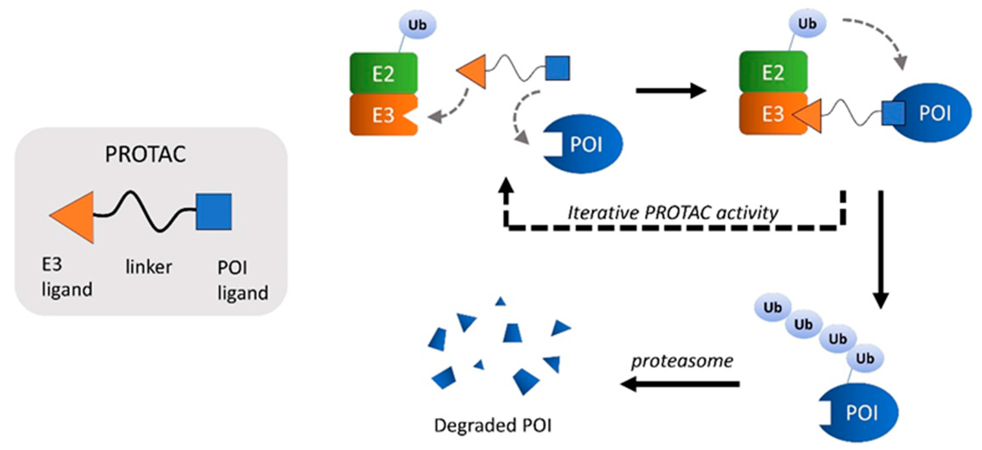 Jpm 11 01309 g005 Jpm 11 01309 g005