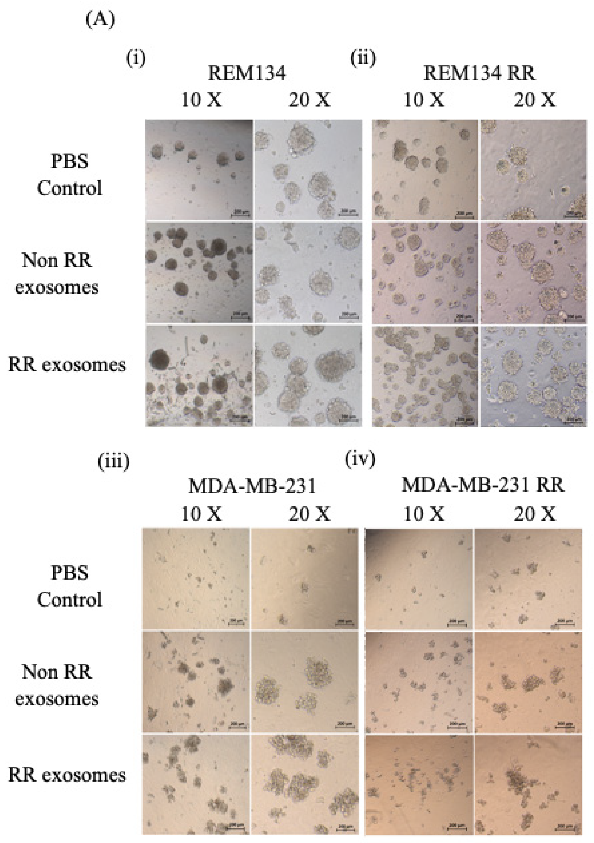 Jpm 11 01310 g006a
