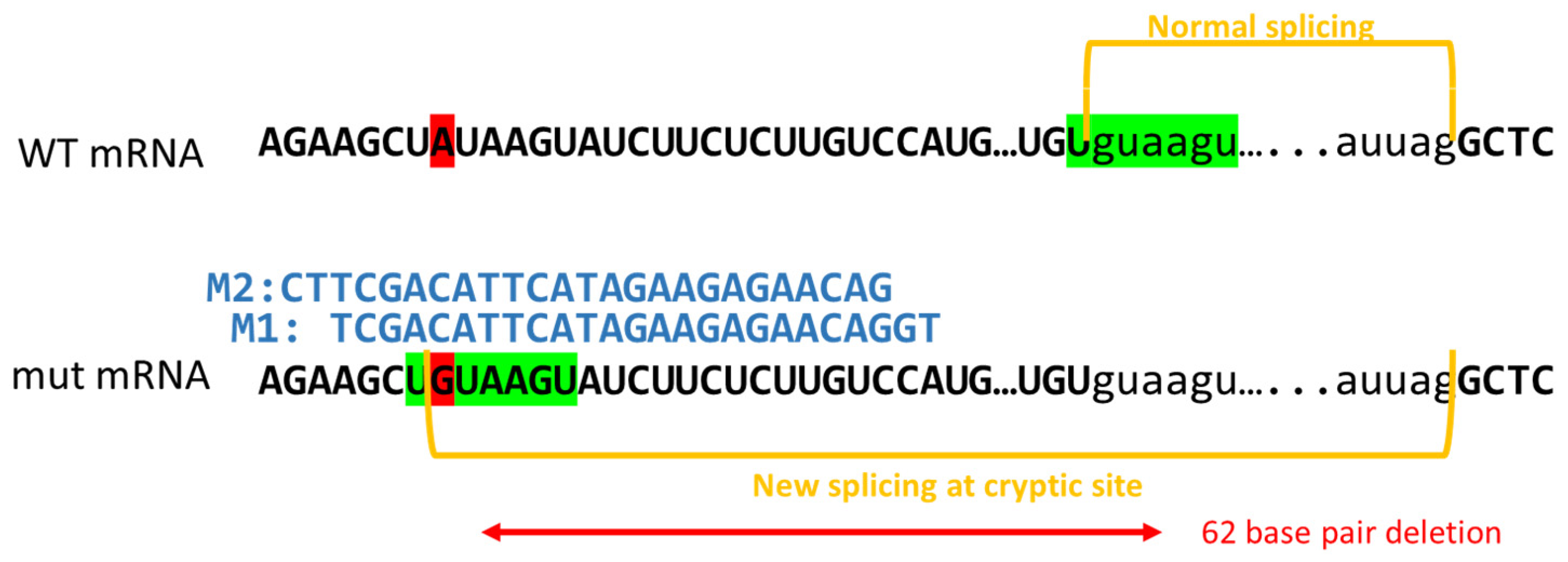 Jpm 11 01320 g001 Jpm 11 01320 g001