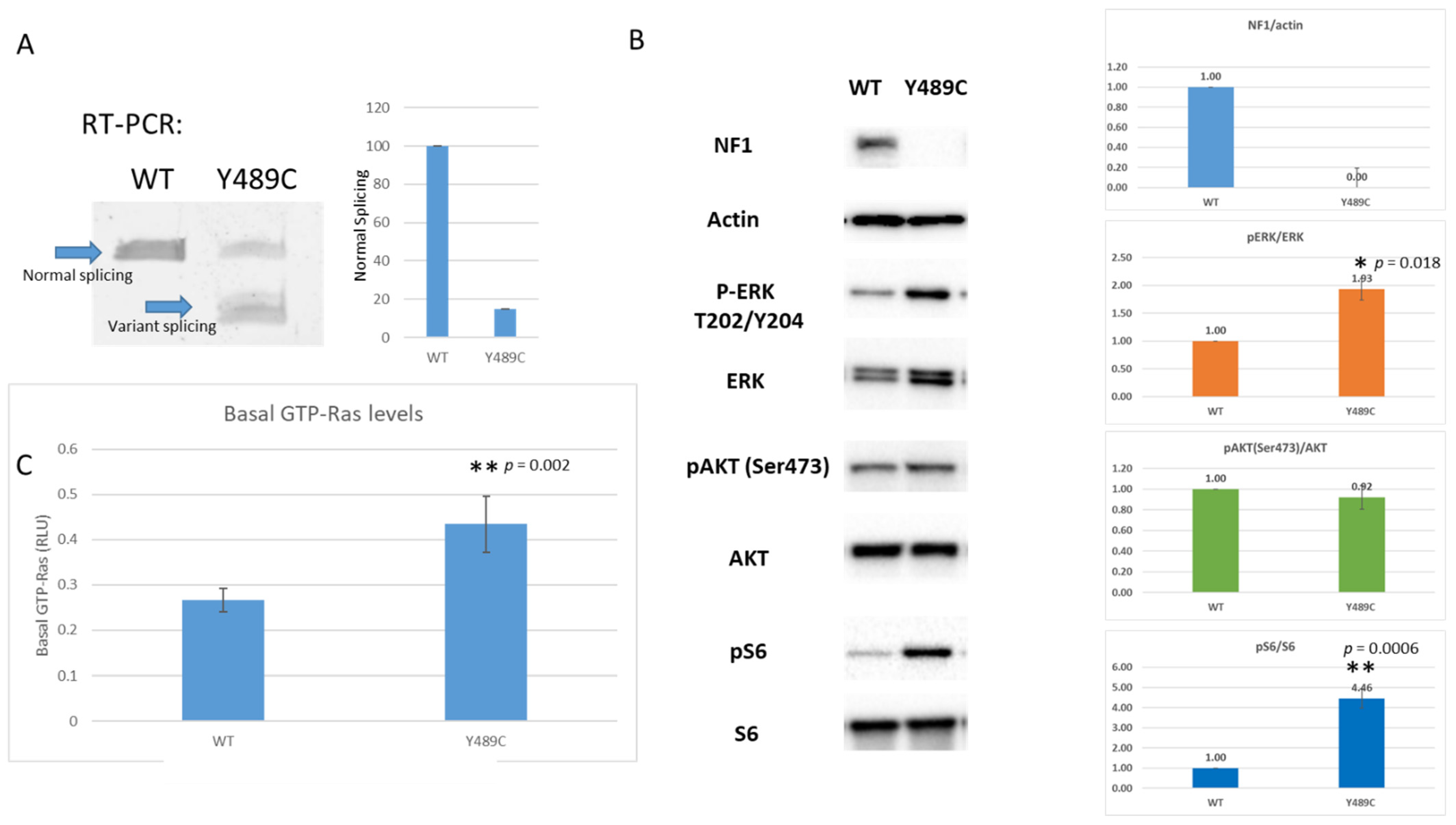 Jpm 11 01320 g002 Jpm 11 01320 g002