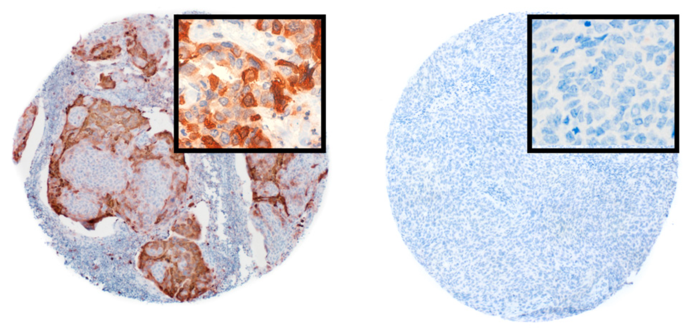 Jpm 11 01330 g002 Jpm 11 01330 g002