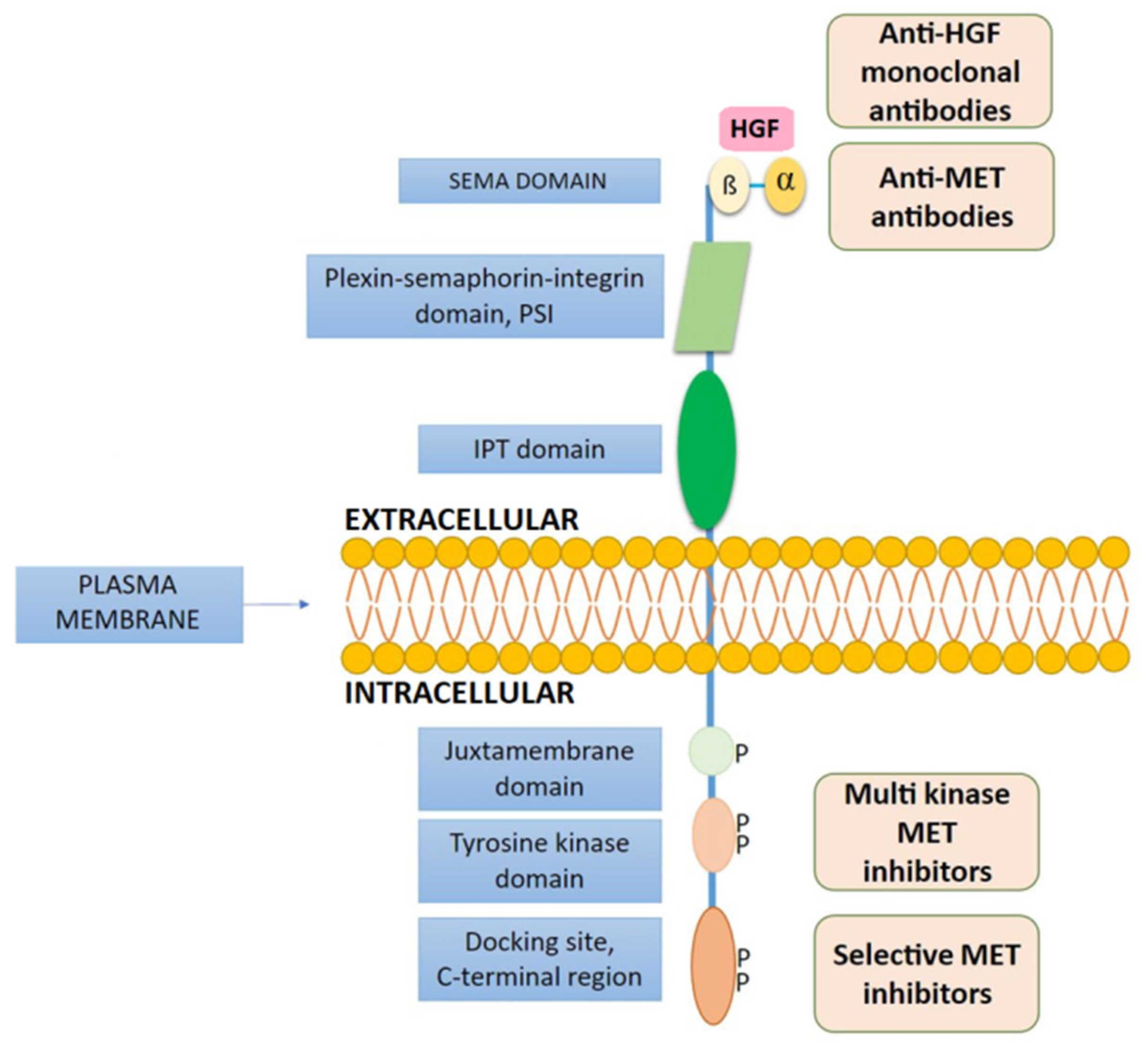 Jpm 11 01370 g001 Jpm 11 01370 g001