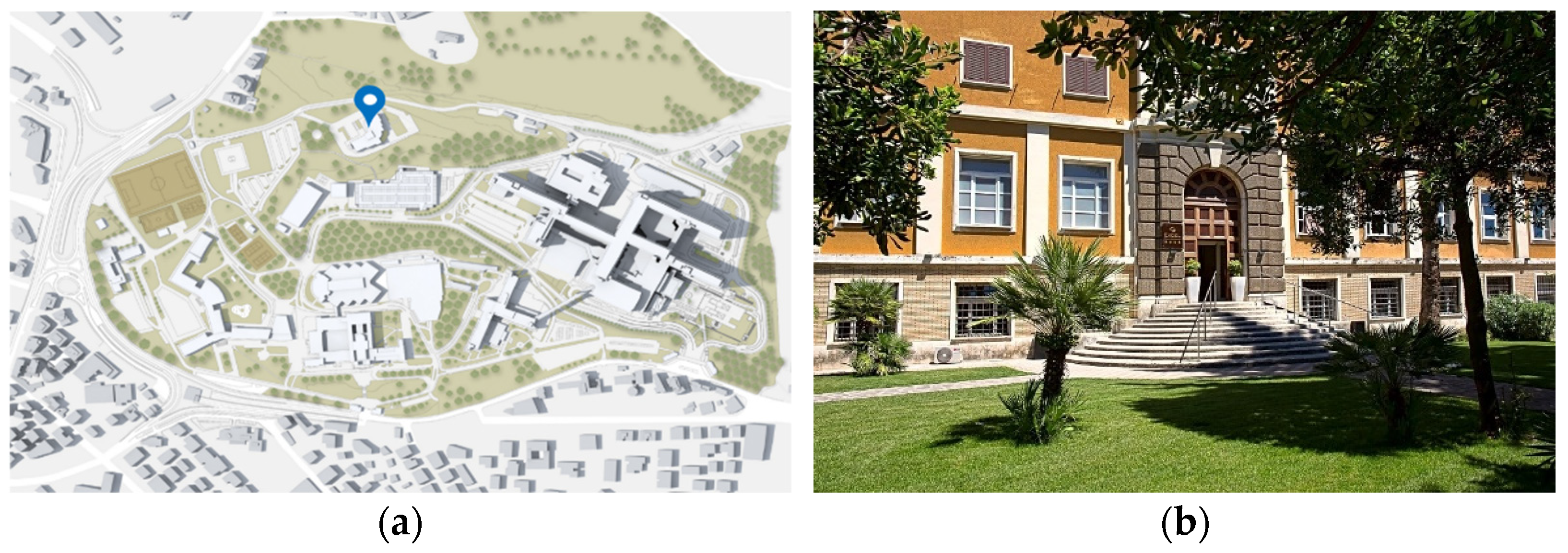 Jpm 12 00003 g006 Jpm 12 00003 g006