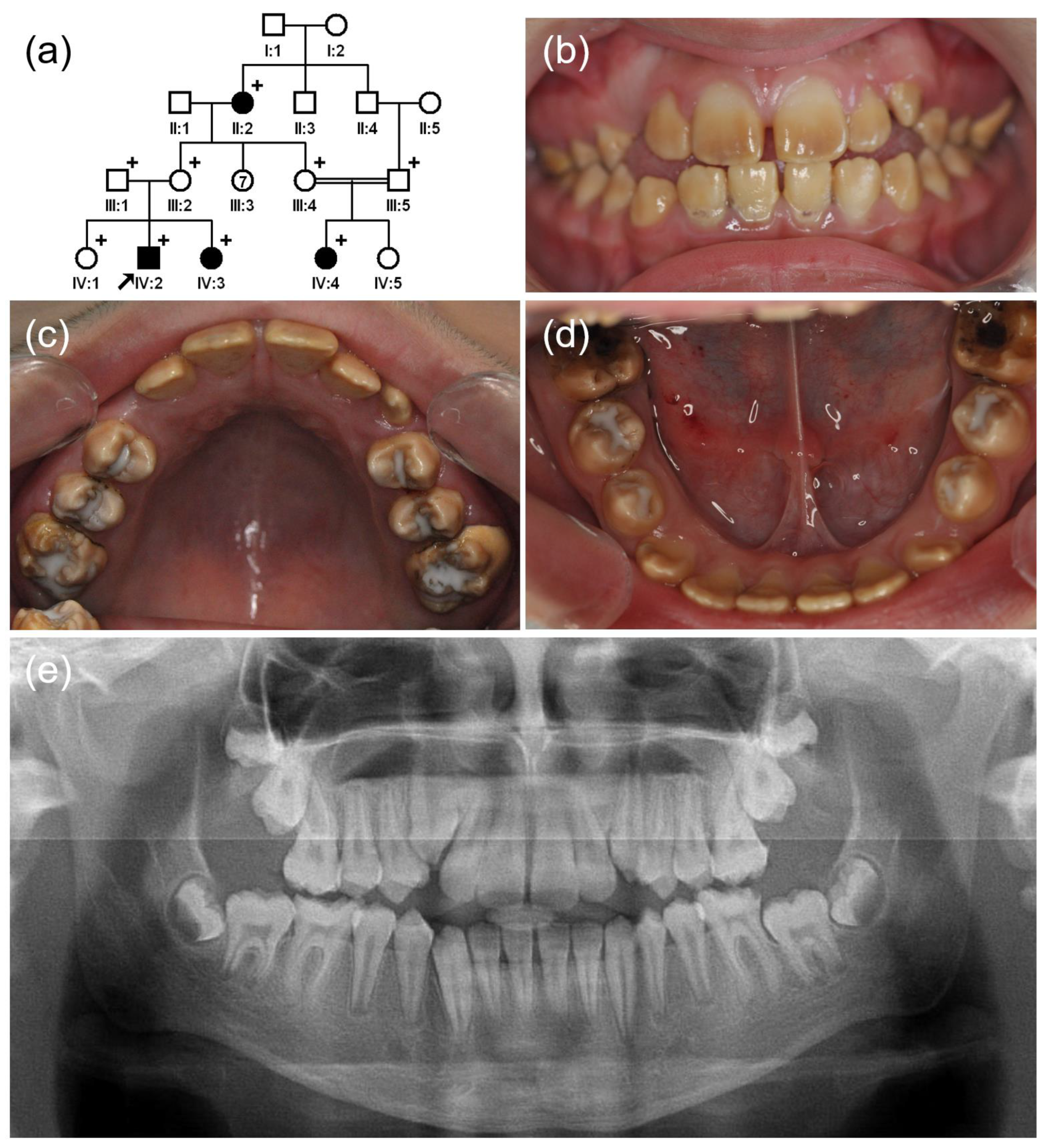Jpm 12 00013 g001 Jpm 12 00013 g001