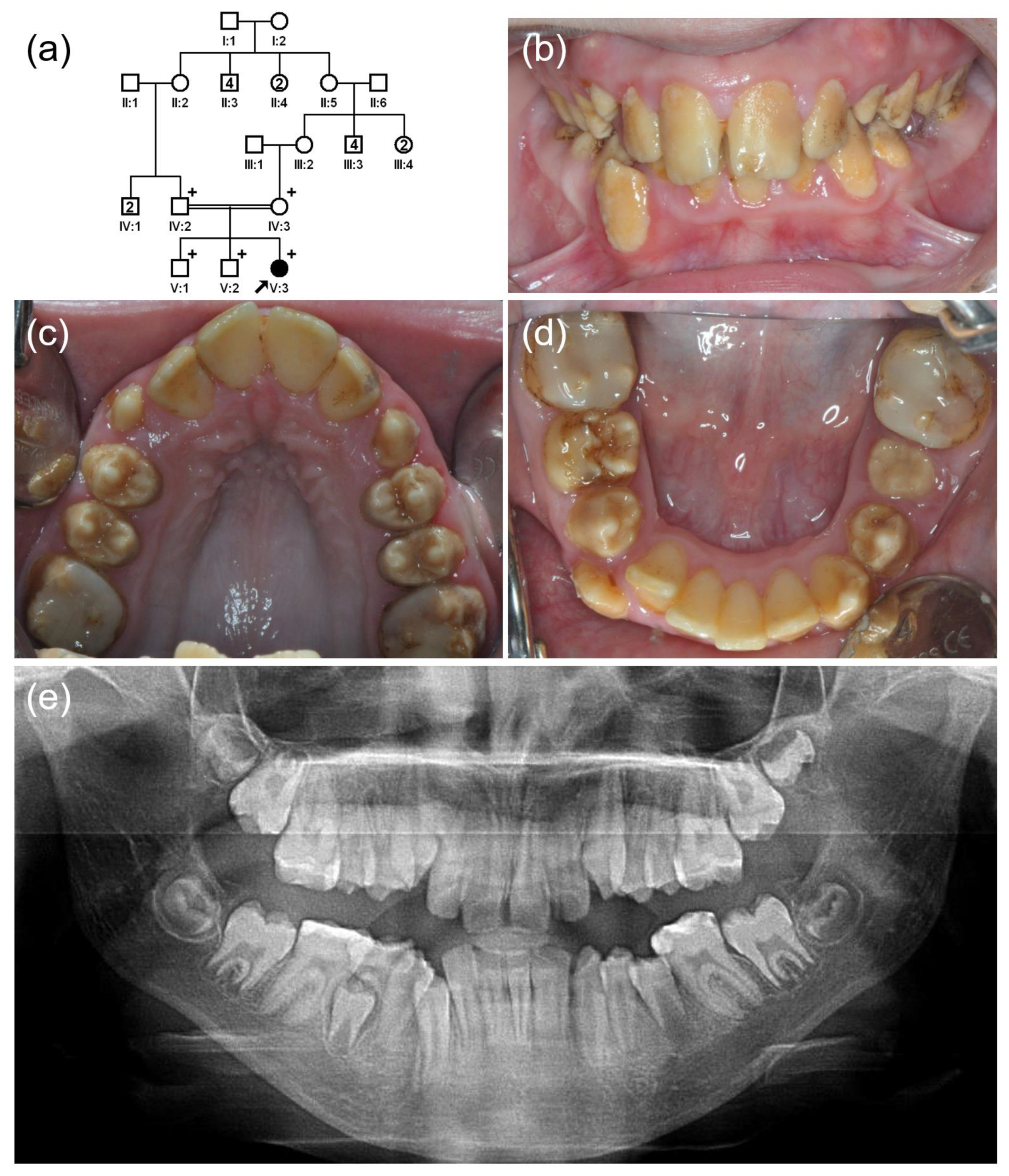 Jpm 12 00013 g003 Jpm 12 00013 g003