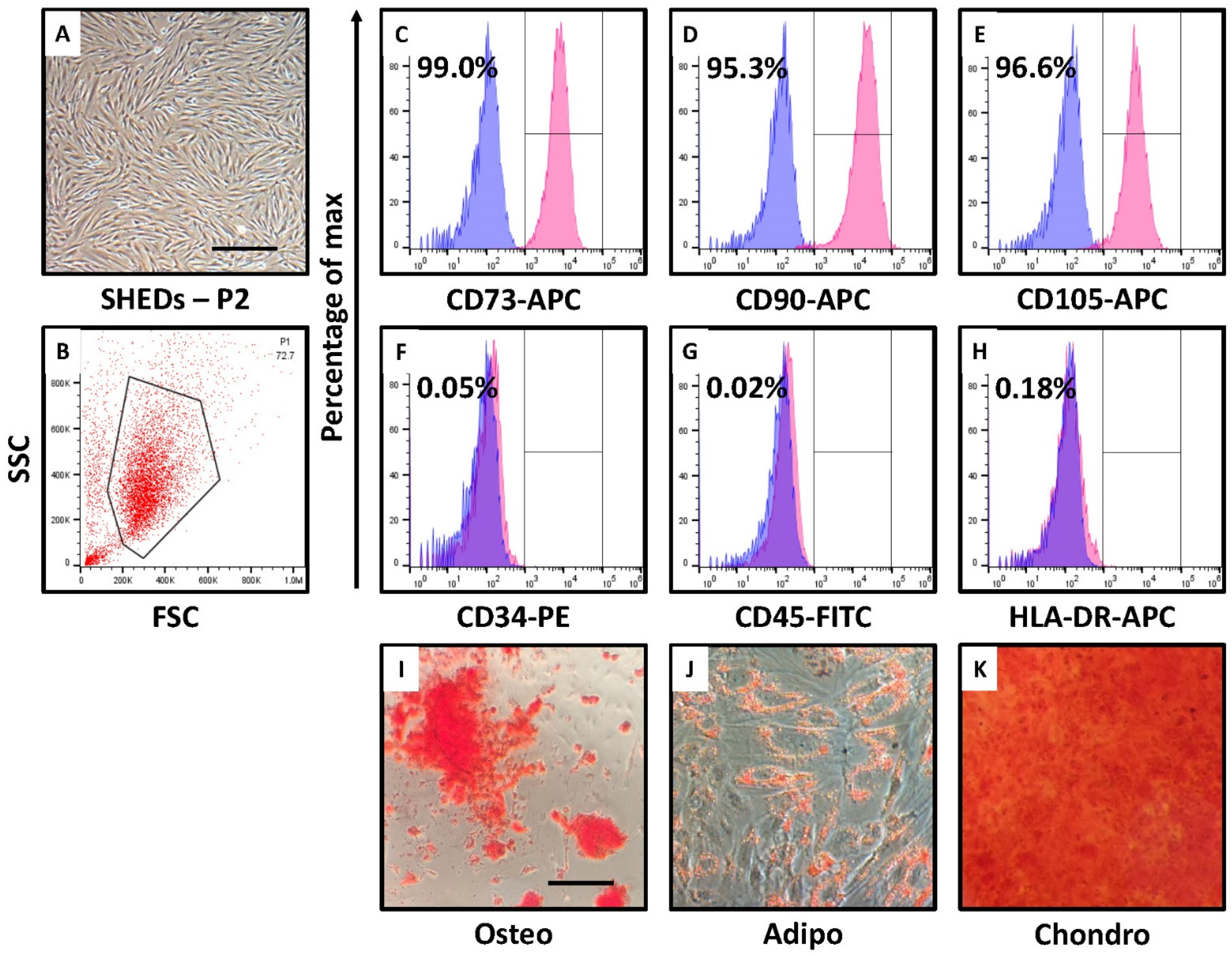 Jpm 12 00018 g001 Jpm 12 00018 g001