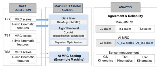 Agreement and Reliability Analysis of Machine Learning Scaling and ...
