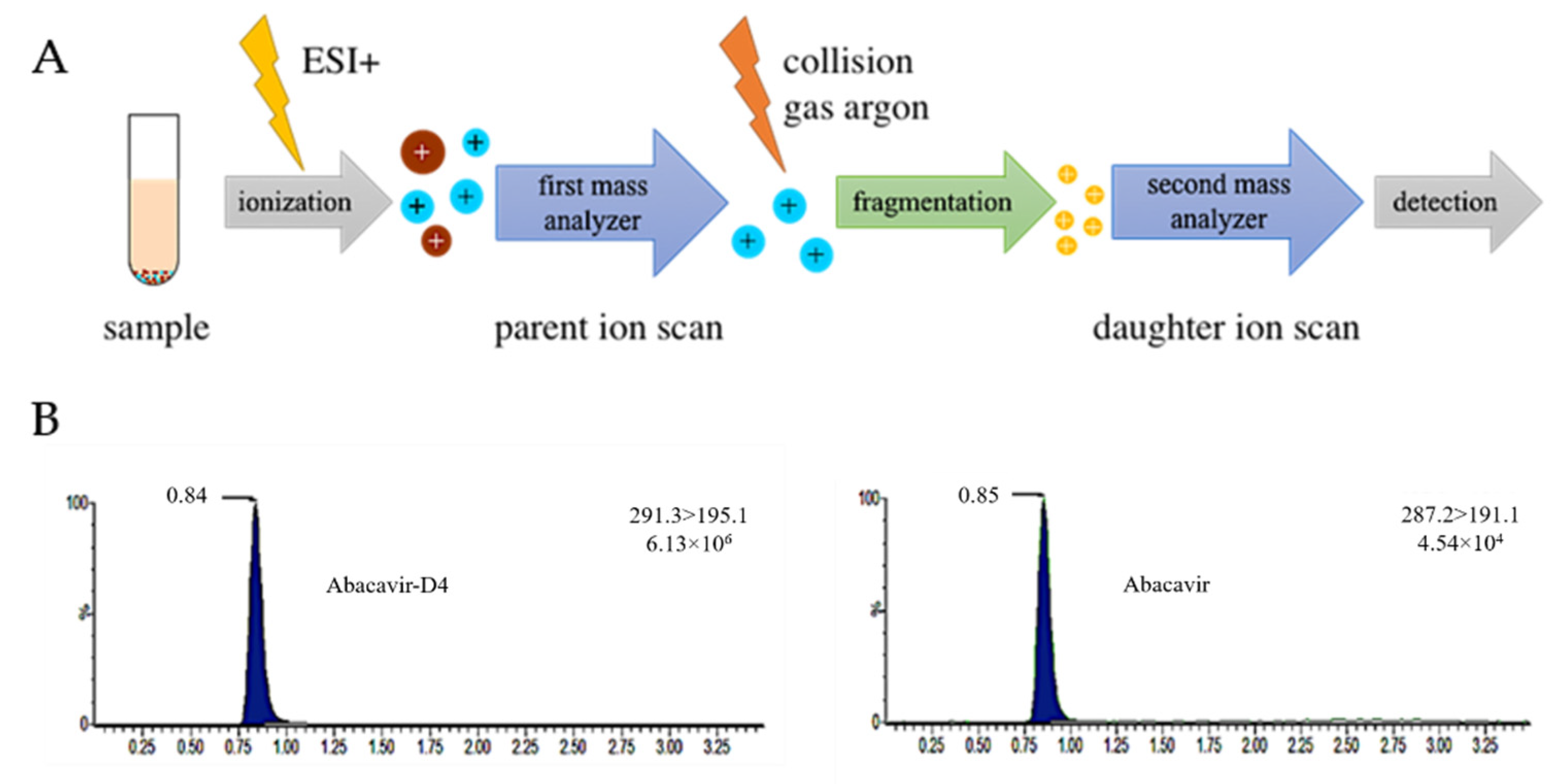 Jpm 12 00040 g001 550