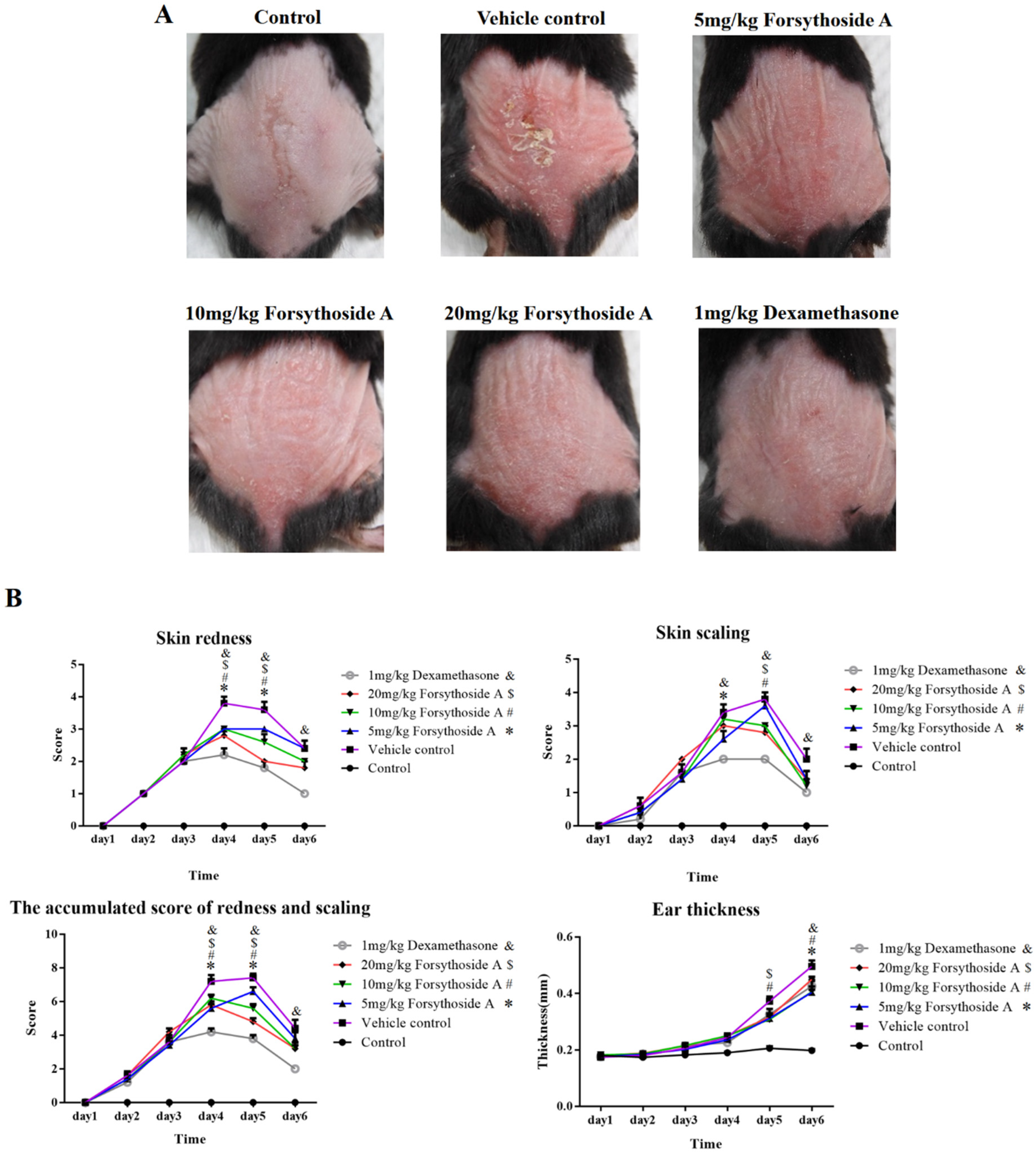 Jpm 12 00062 g001a Jpm 12 00062 g001a