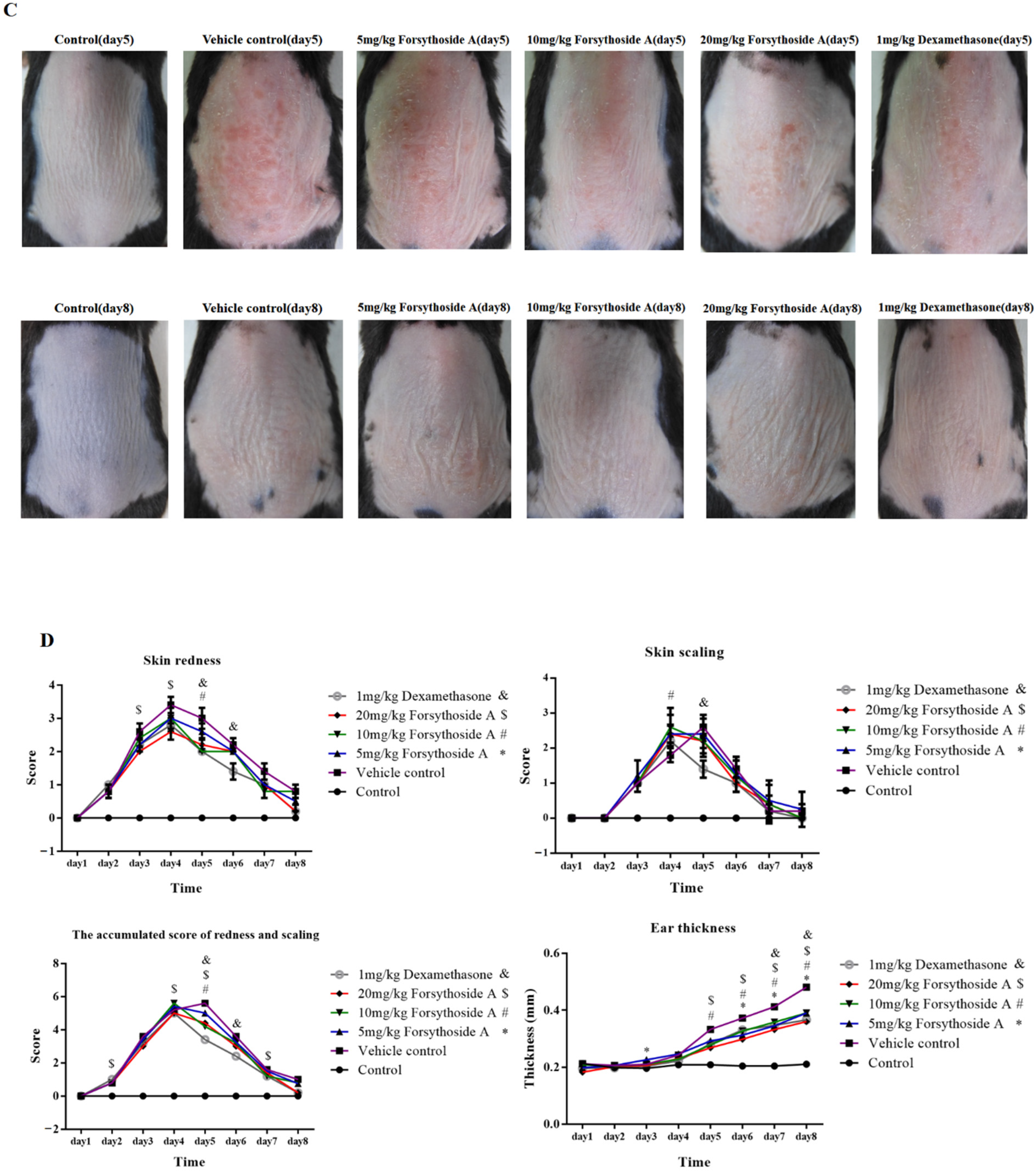 Jpm 12 00062 g001b Jpm 12 00062 g001b