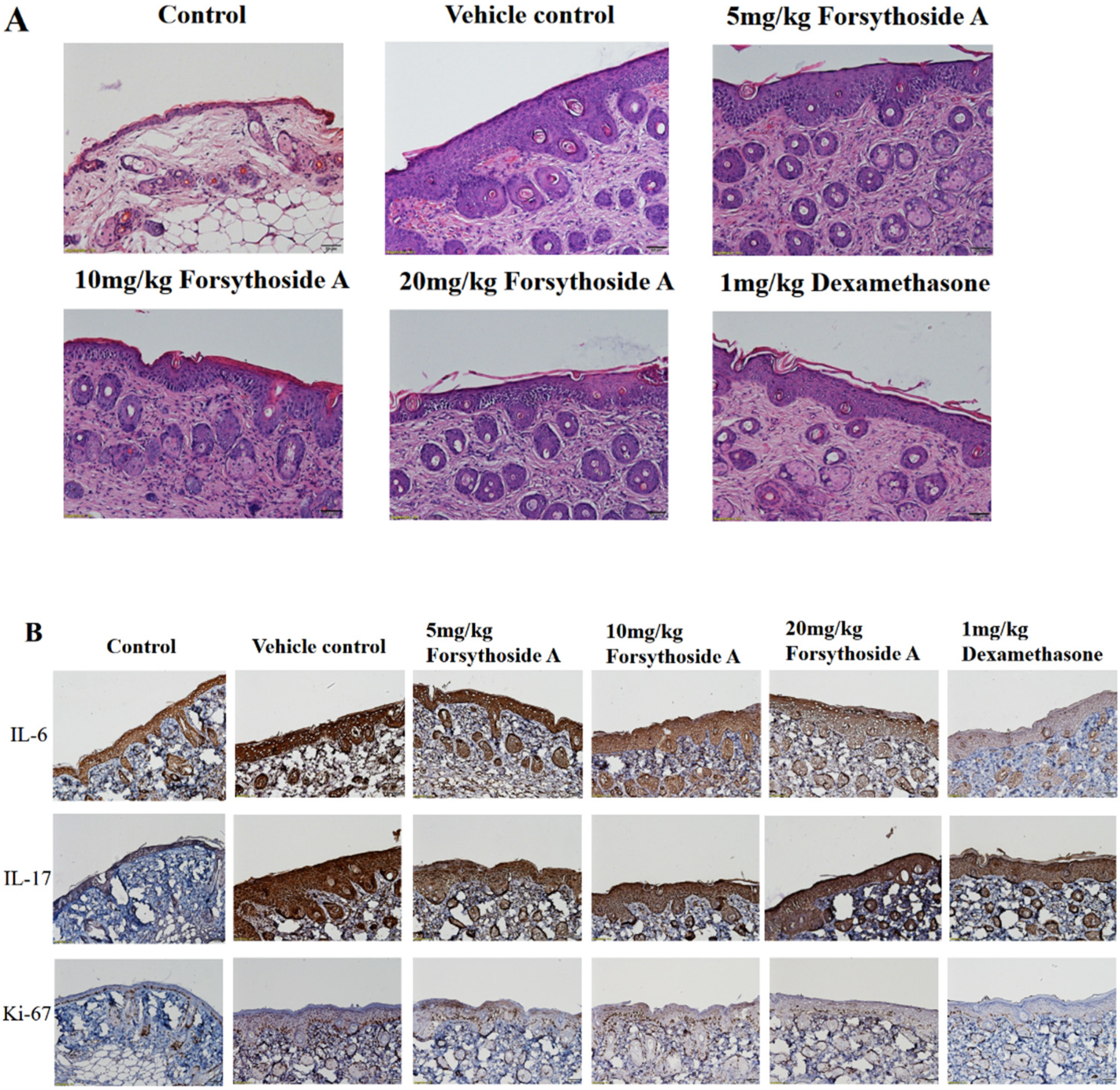 Jpm 12 00062 g002a Jpm 12 00062 g002a