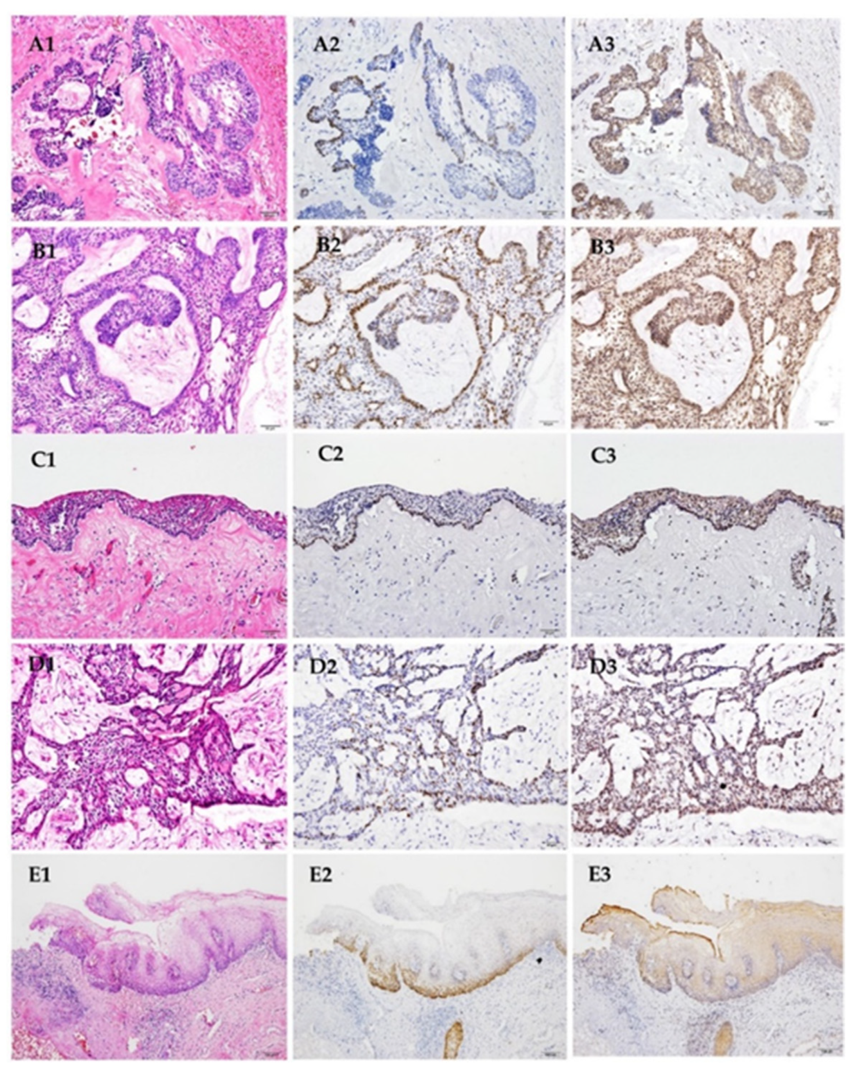 Jpm 12 00077 g001 550