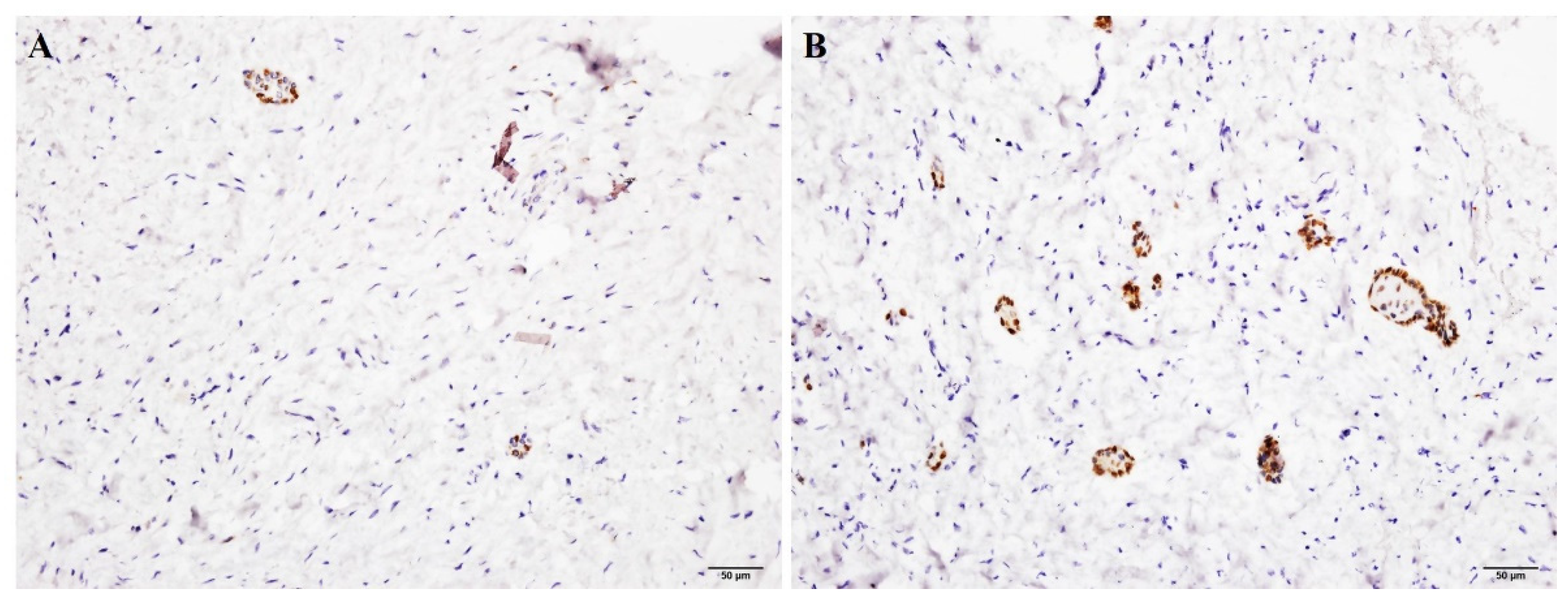 Jpm 12 00077 g002 550