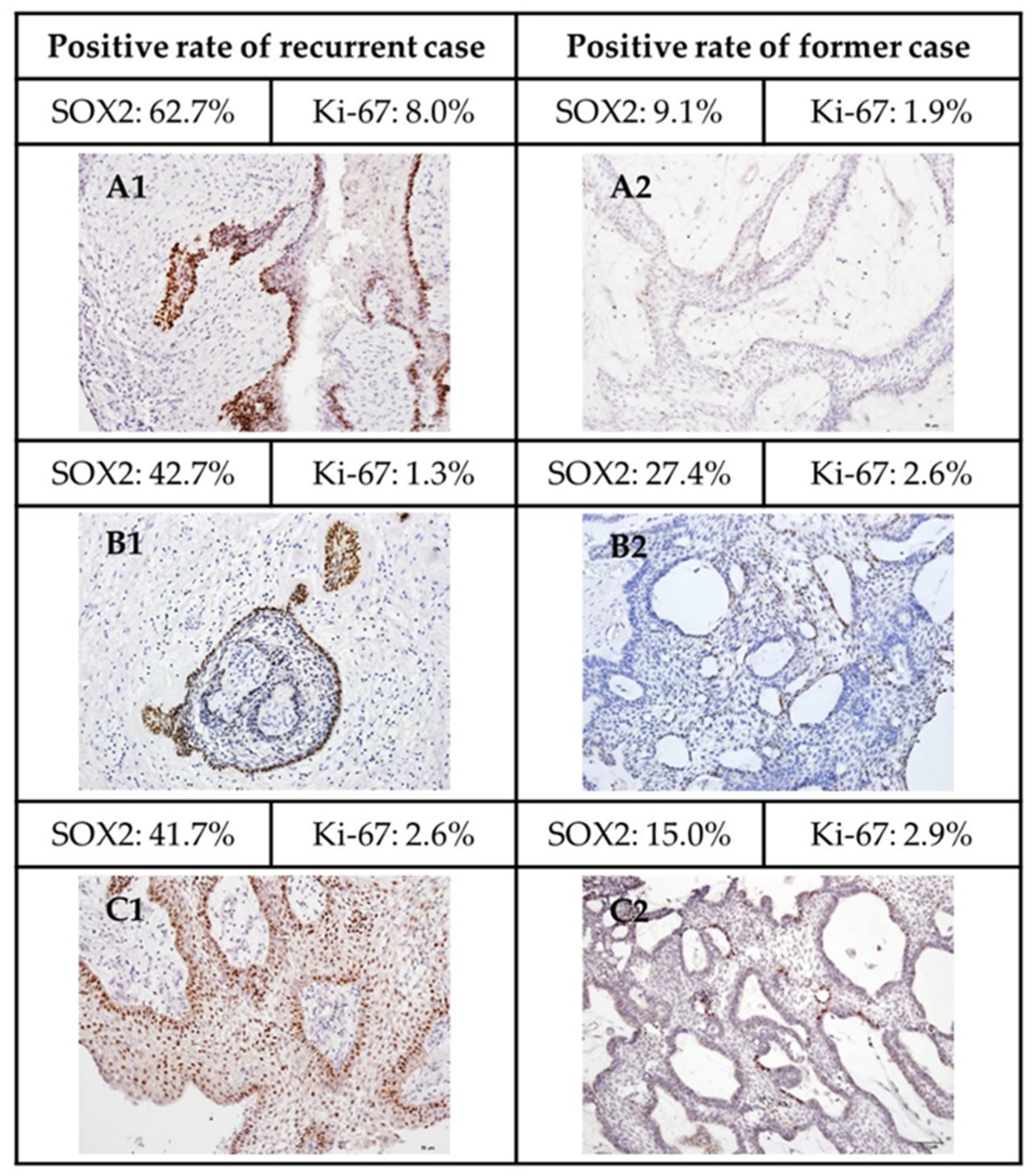 Jpm 12 00077 g005 550