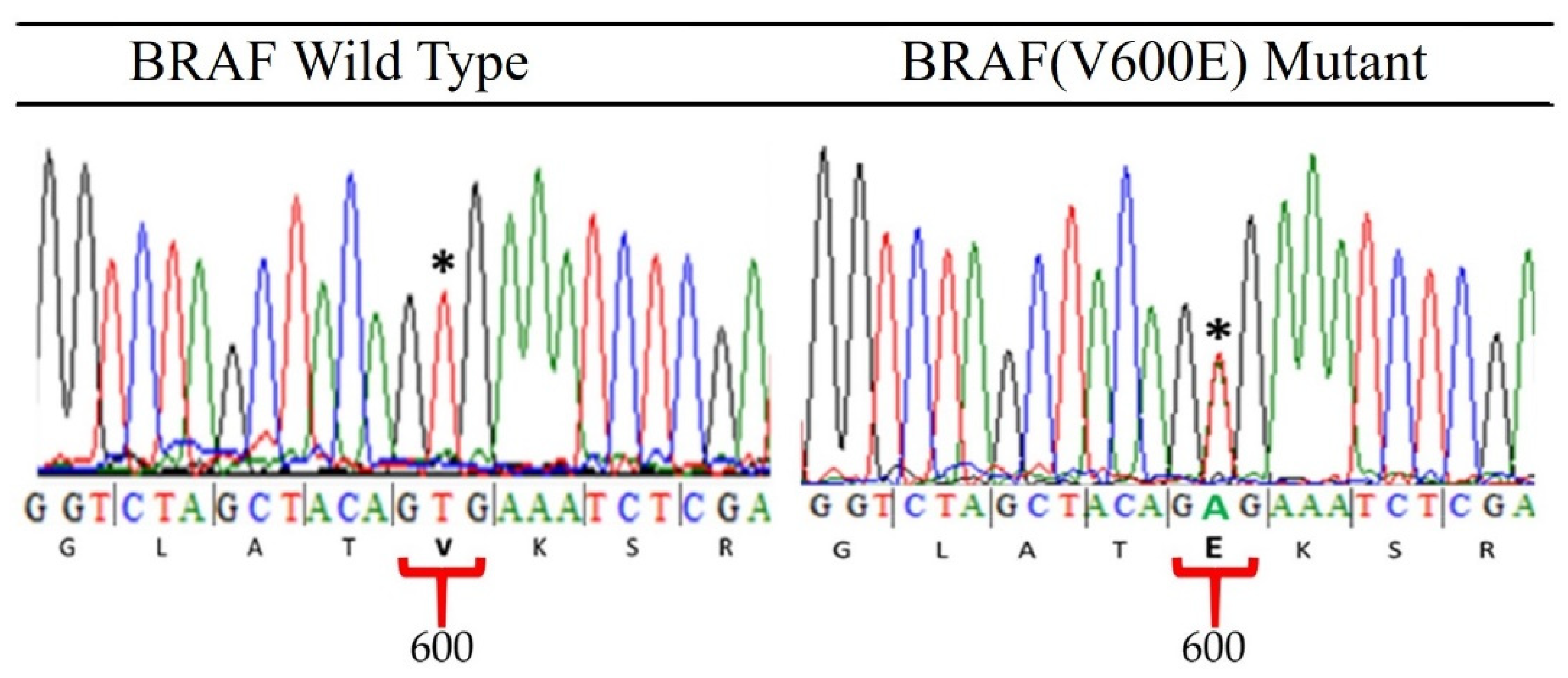 Jpm 12 00077 g007 550