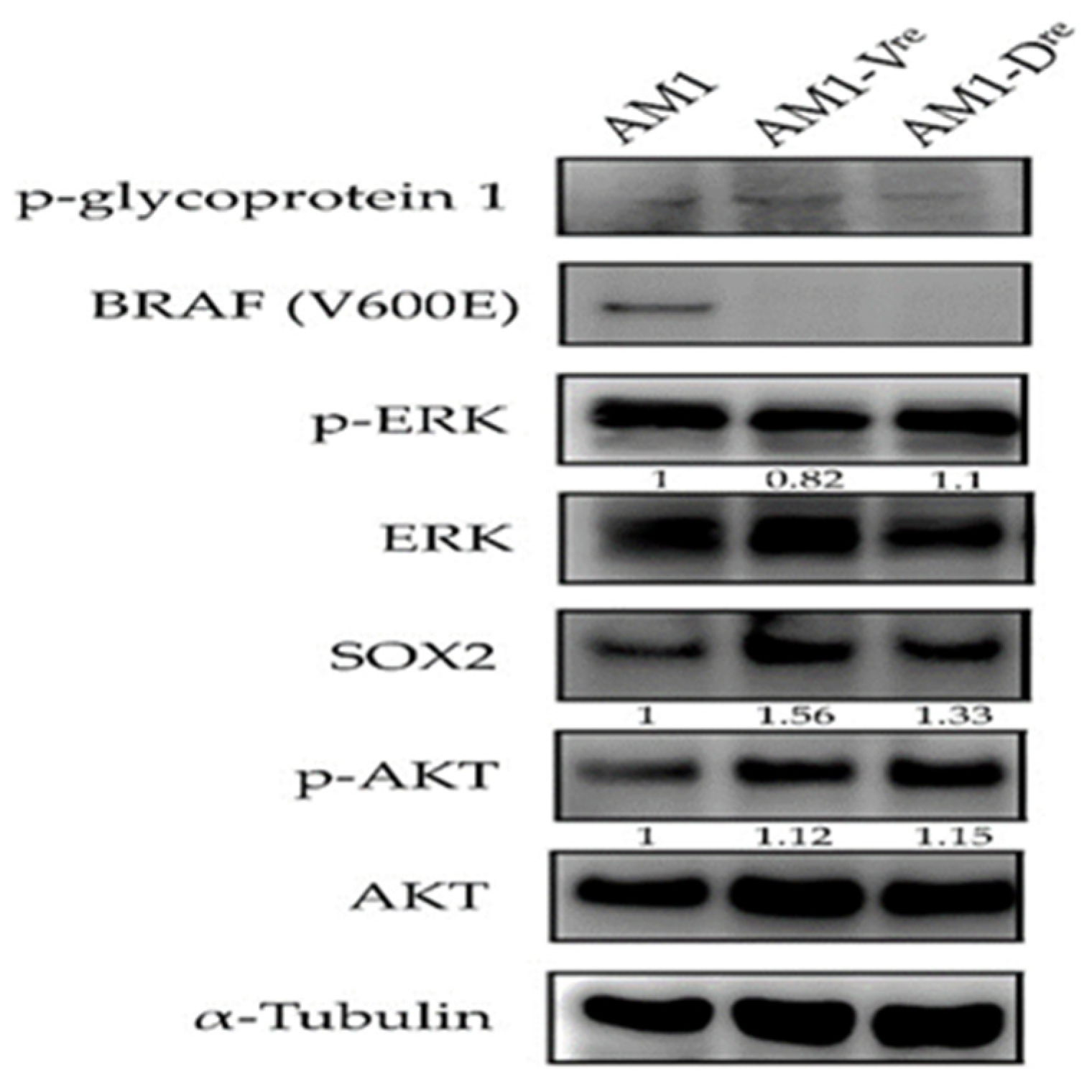 Jpm 12 00077 g009 550