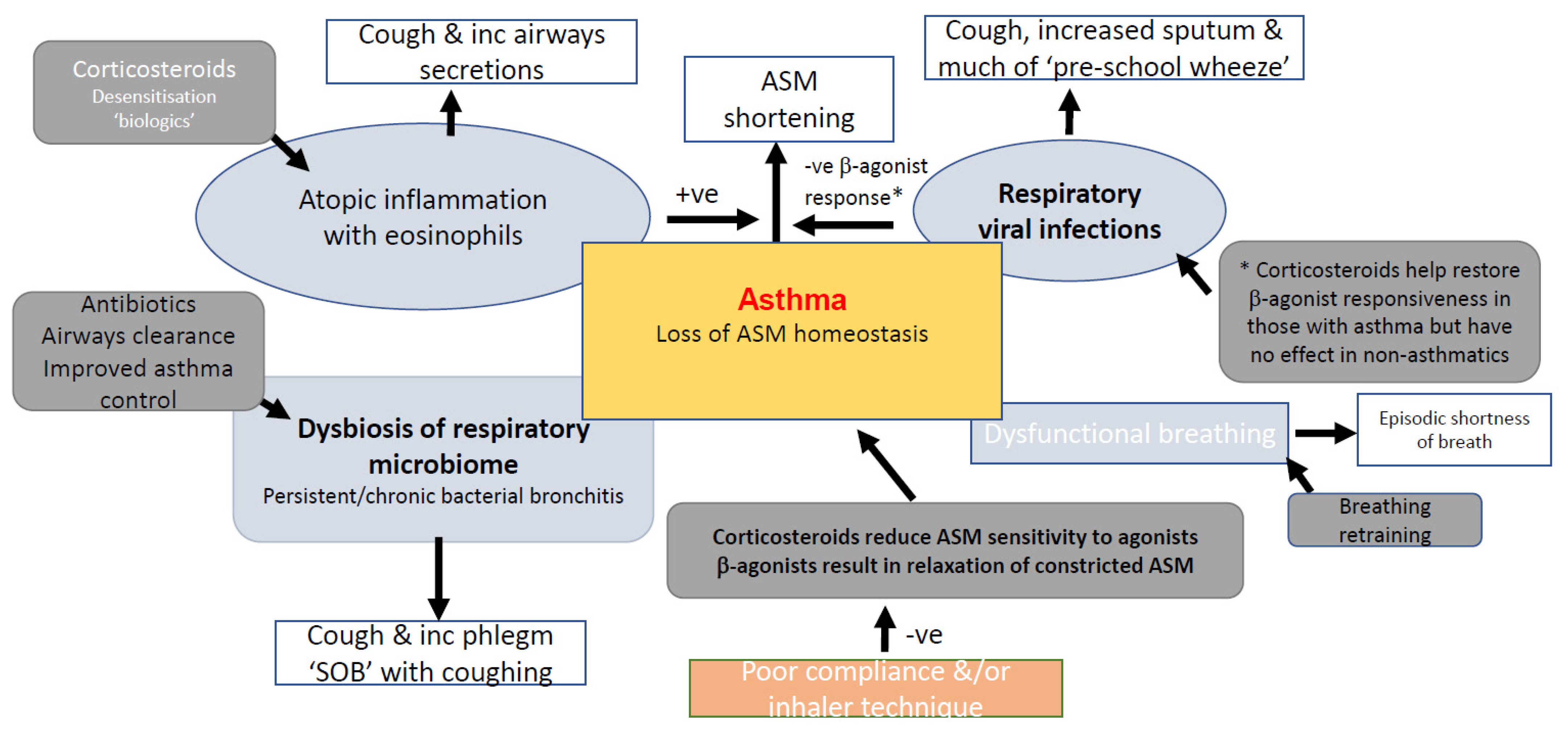 JPM Free FullText Precision Medicine and Childhood Asthma A Guide